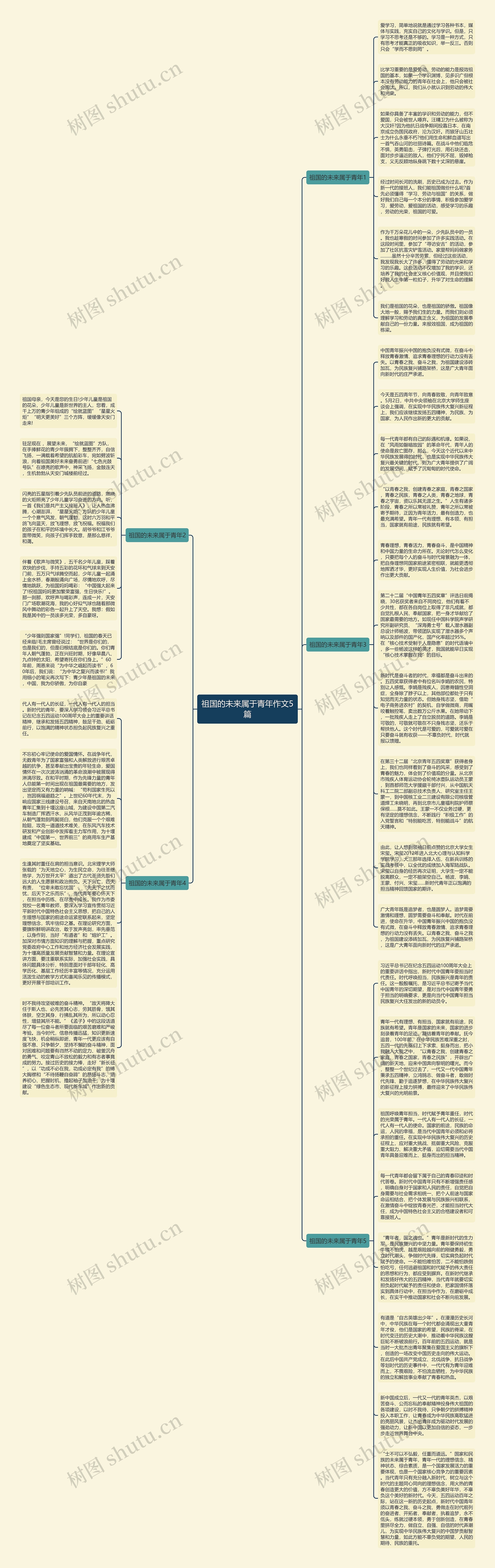 祖国的未来属于青年作文5篇思维导图