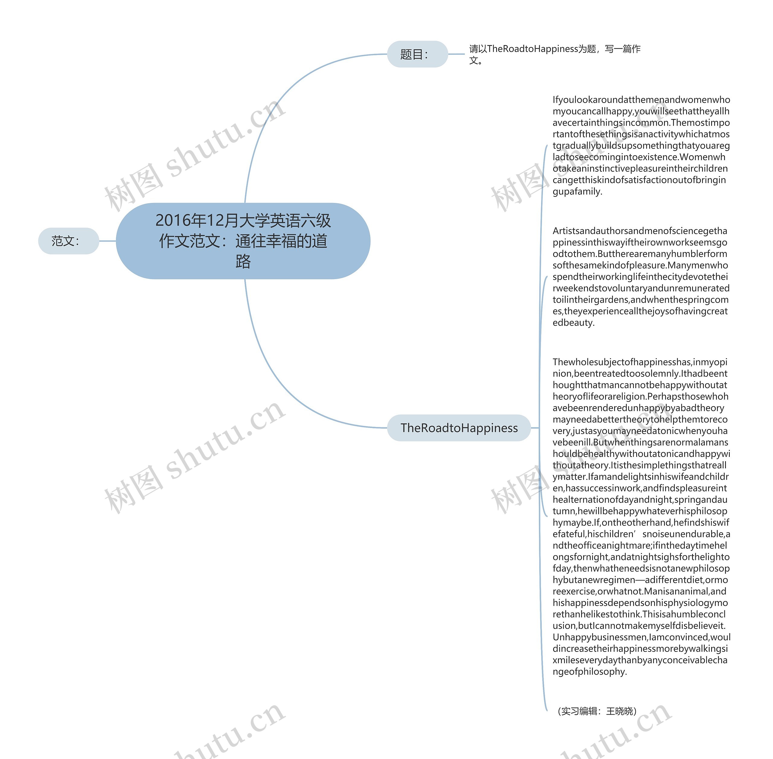 2016年12月大学英语六级作文范文：通往幸福的道路思维导图