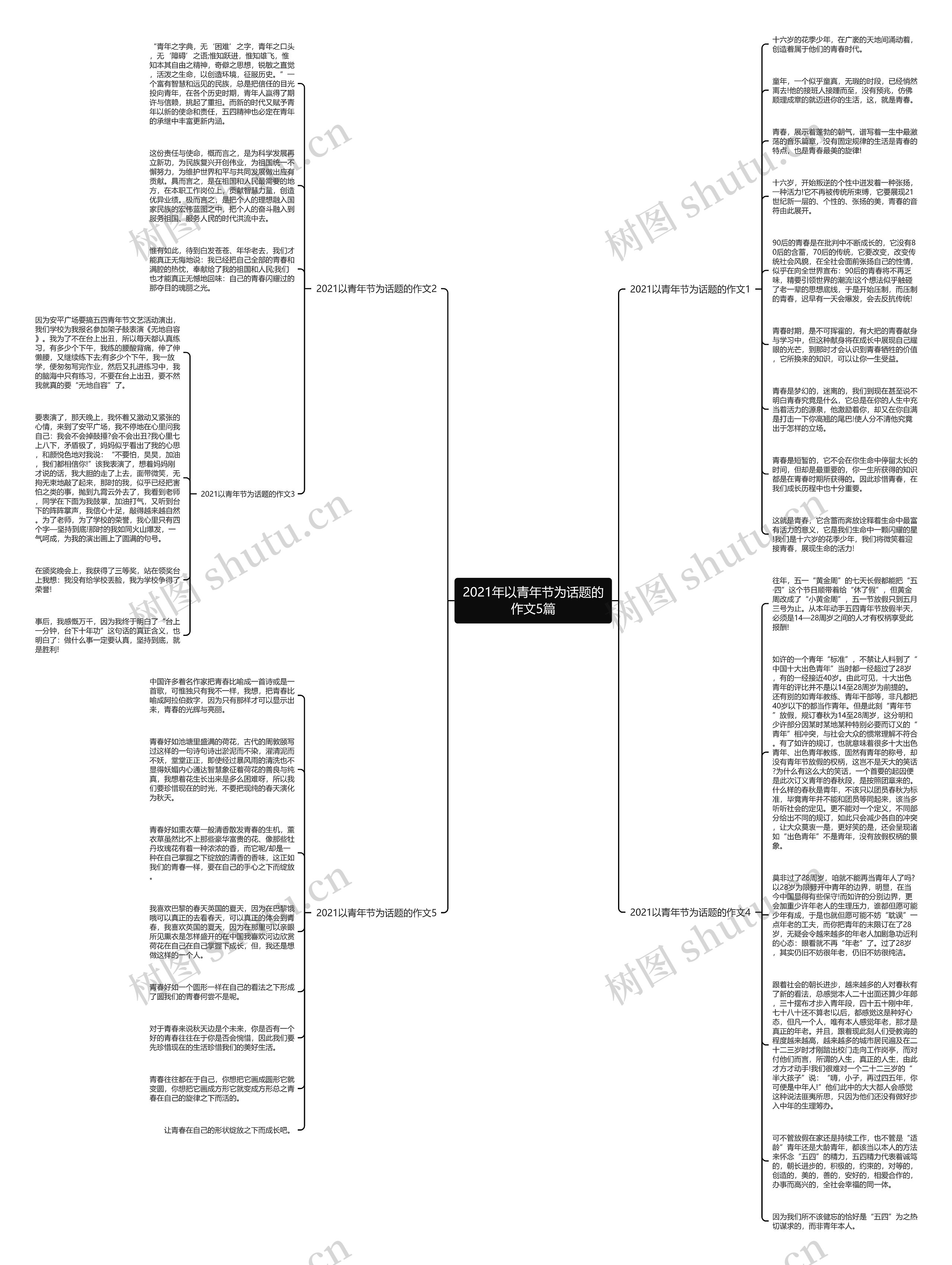 2021年以青年节为话题的作文5篇思维导图