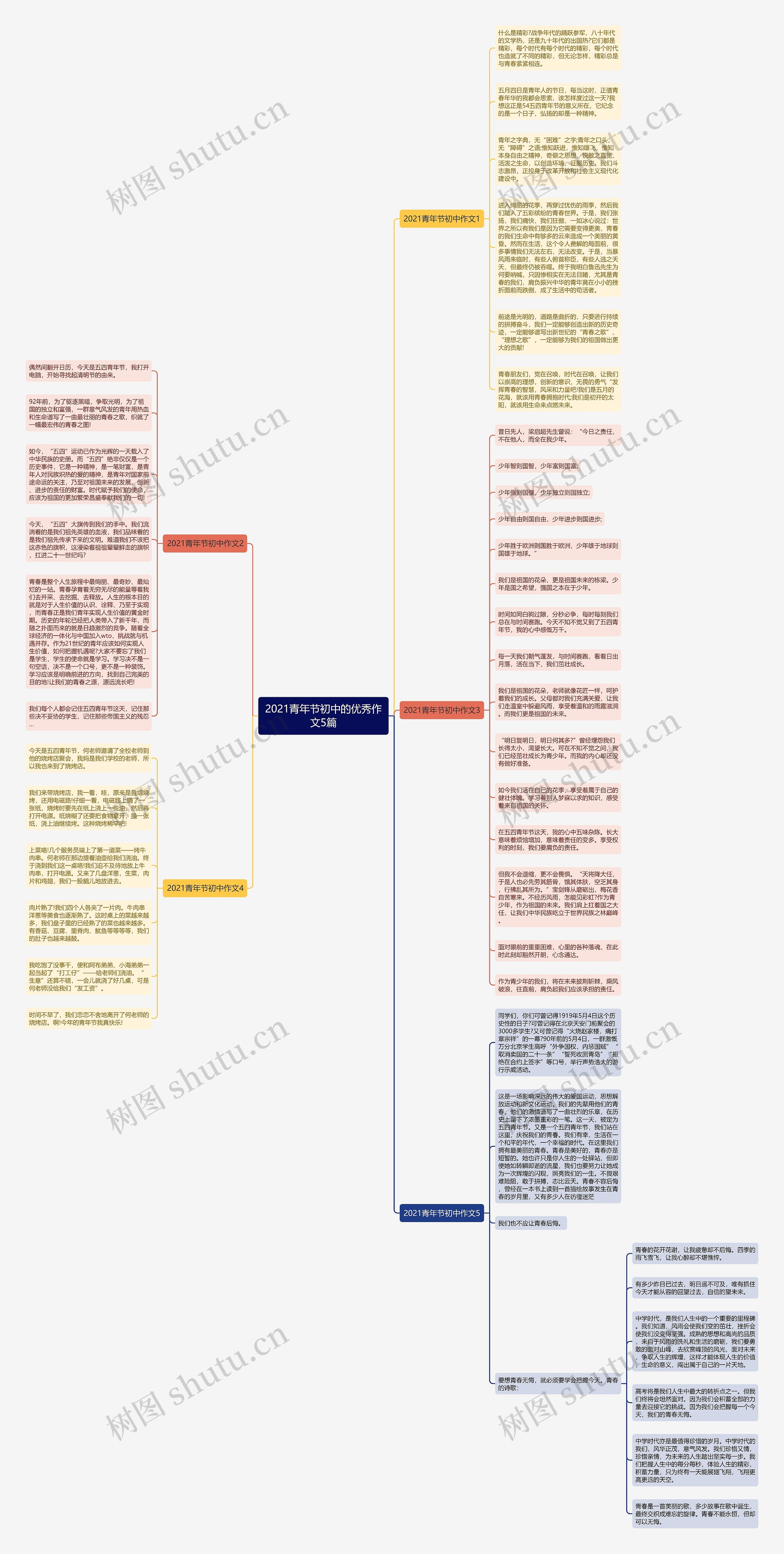 2021青年节初中的优秀作文5篇思维导图