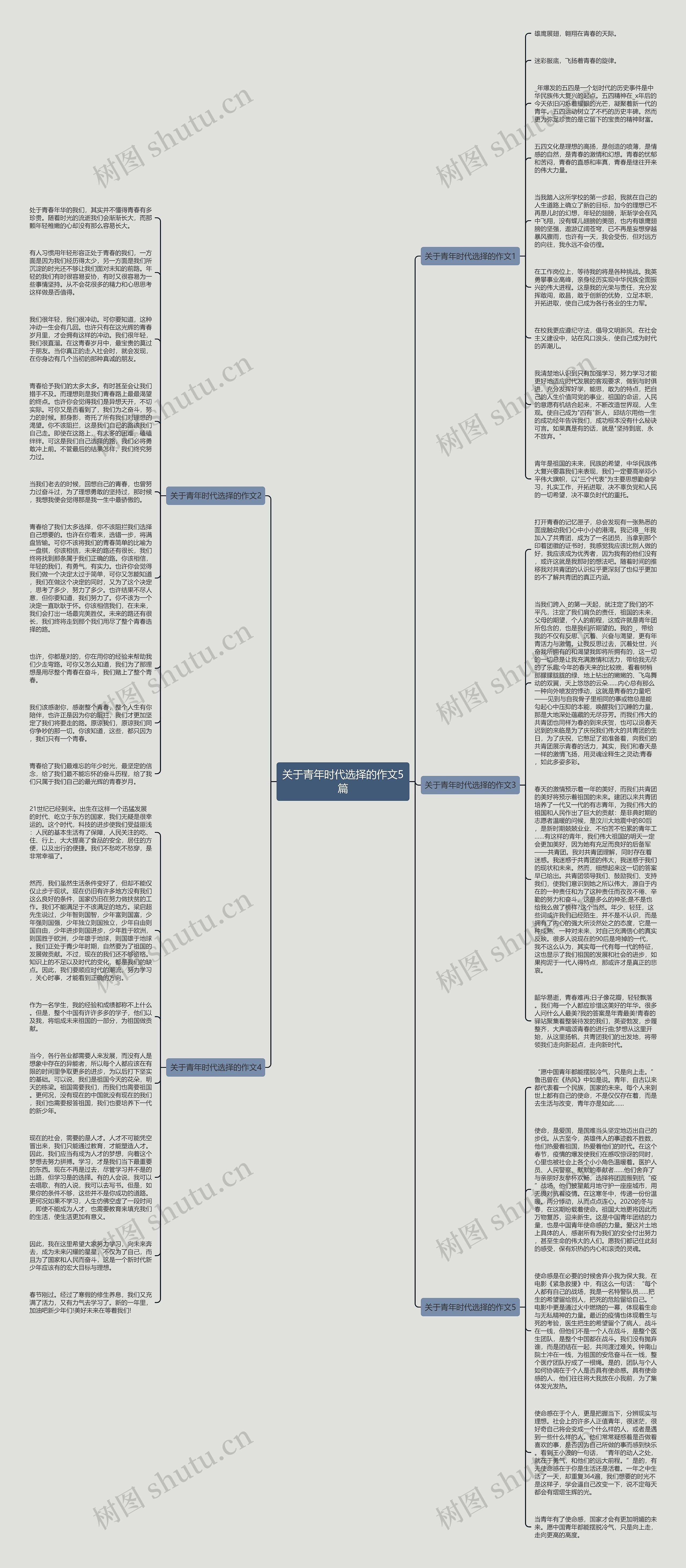 关于青年时代选择的作文5篇