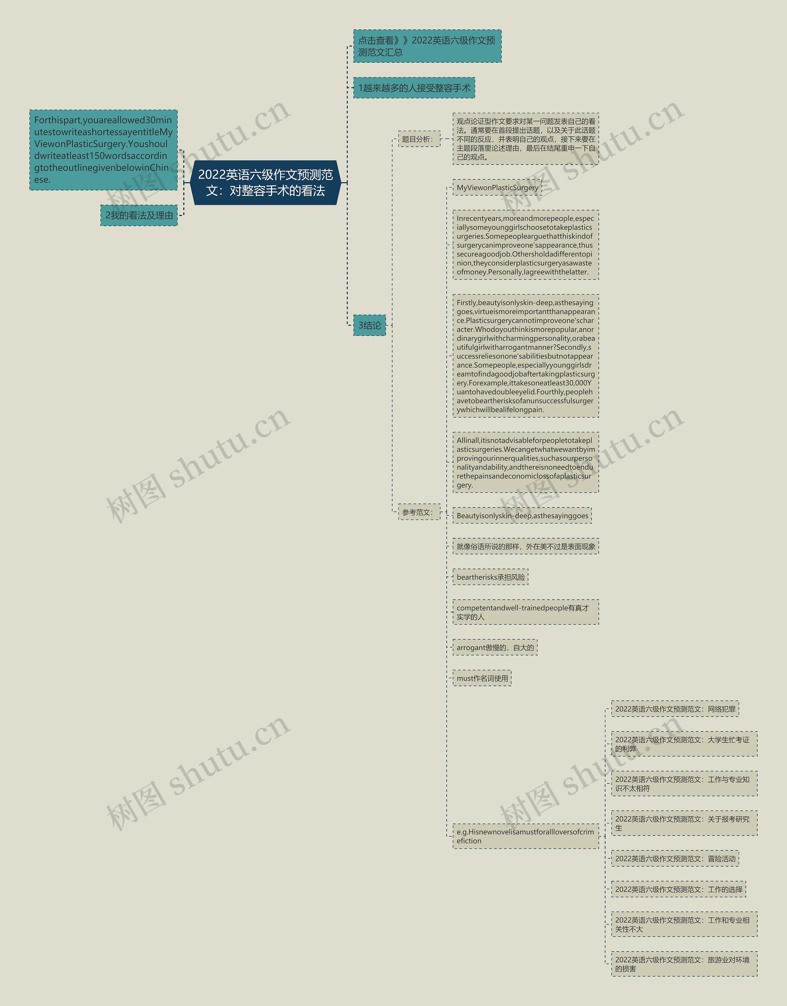 2022英语六级作文预测范文：对整容手术的看法思维导图