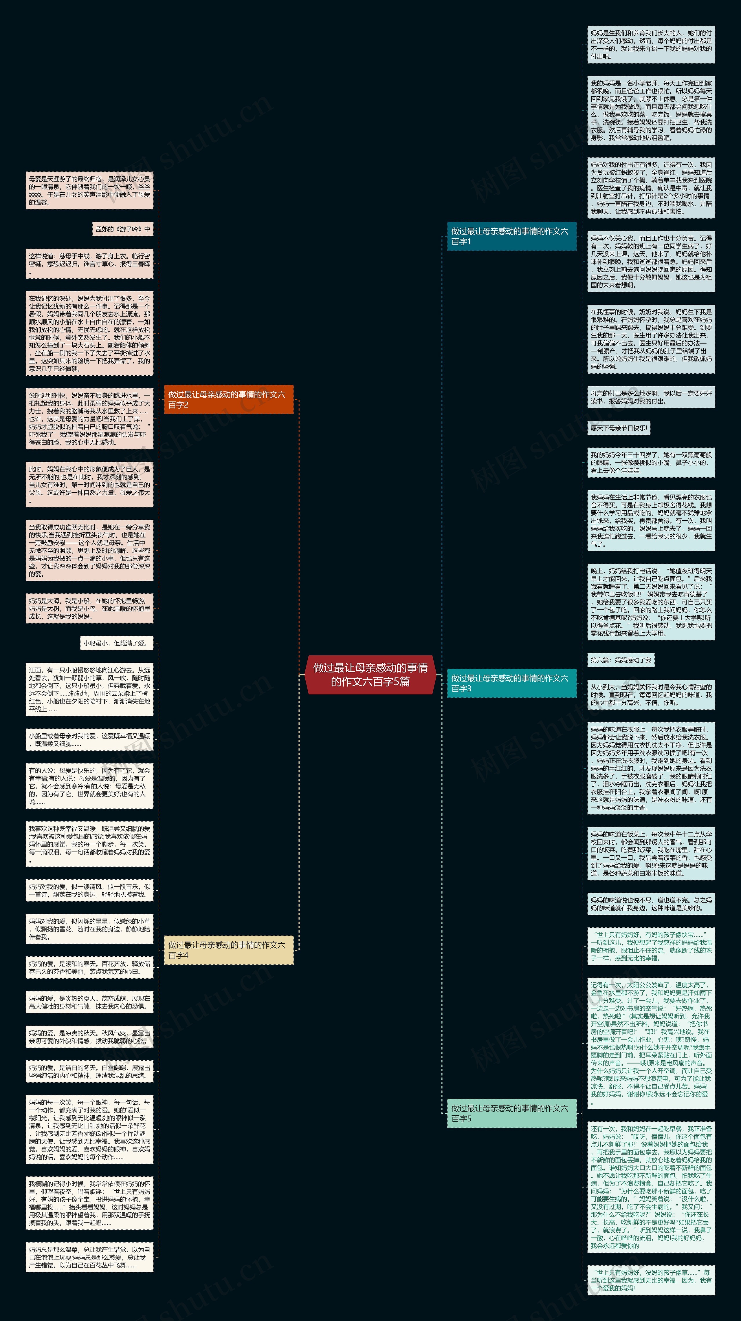 做过最让母亲感动的事情的作文六百字5篇思维导图