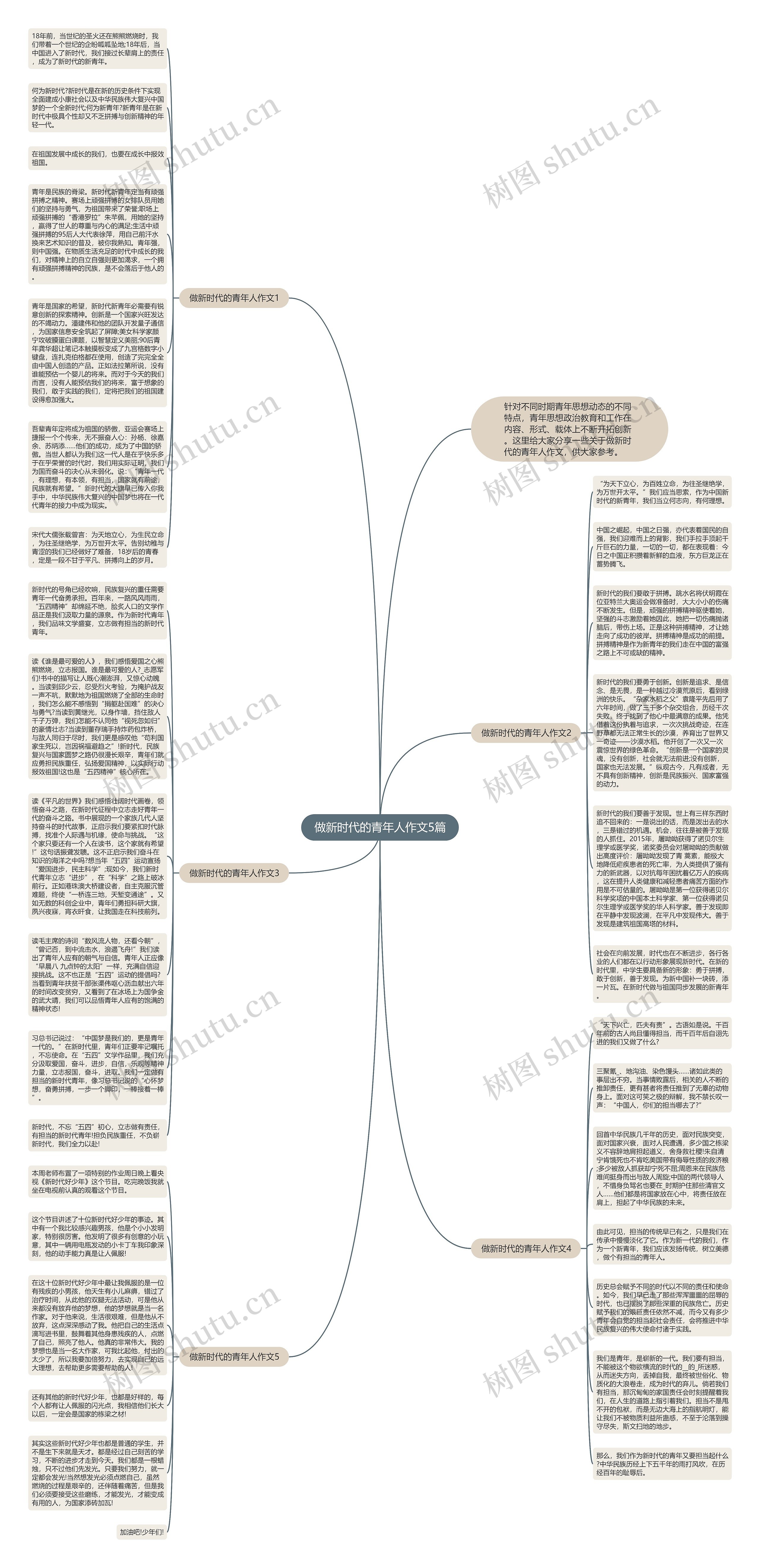 做新时代的青年人作文5篇思维导图