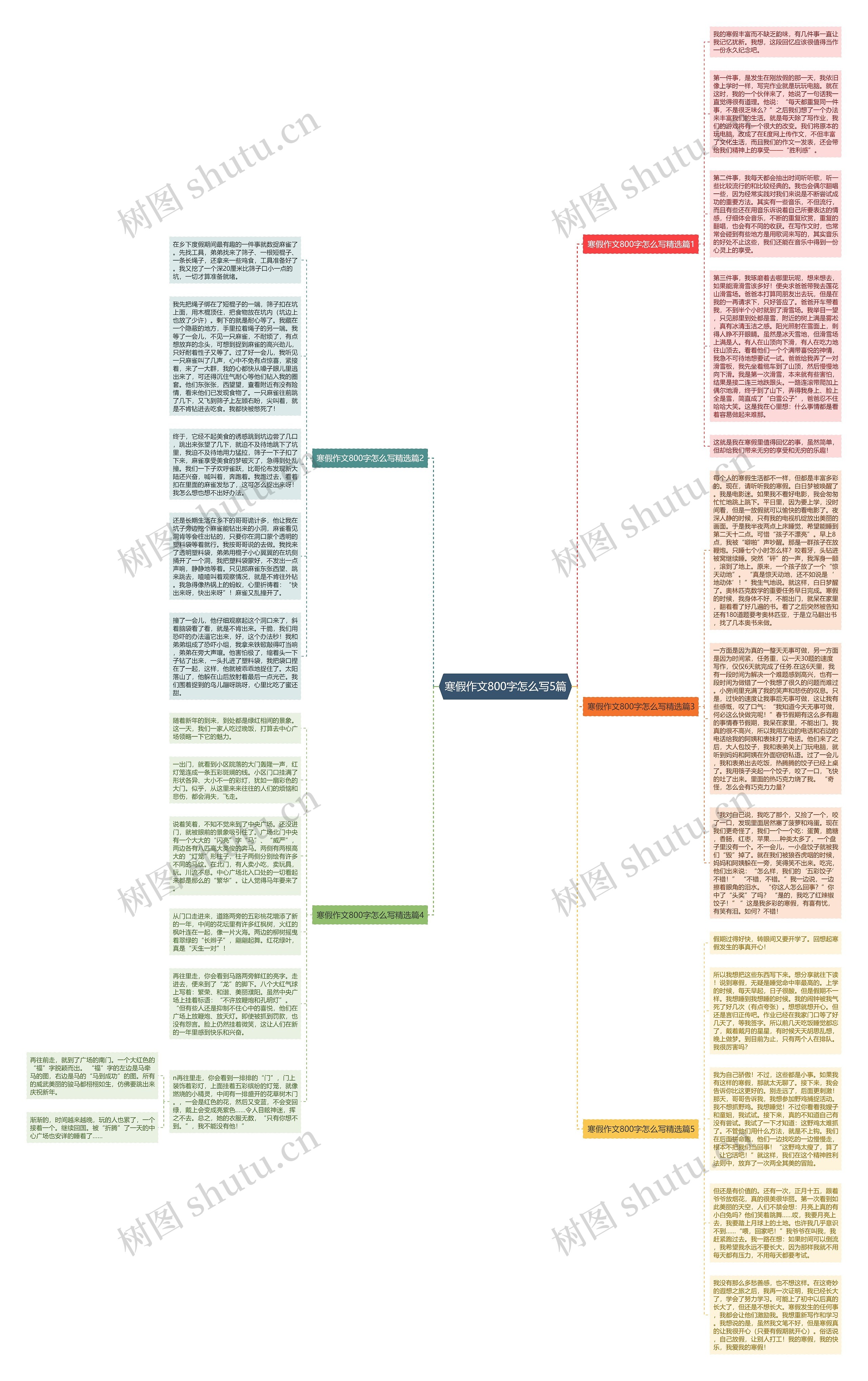 寒假作文800字怎么写5篇