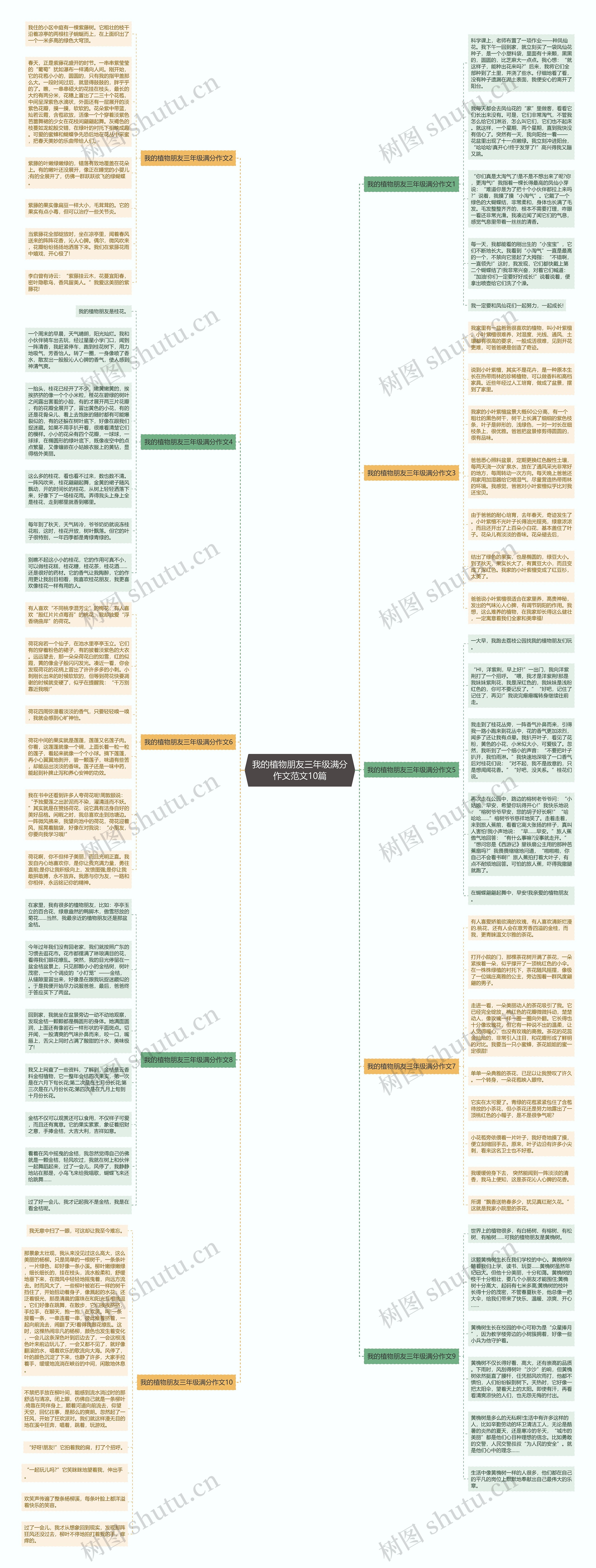 我的植物朋友三年级满分作文范文10篇思维导图