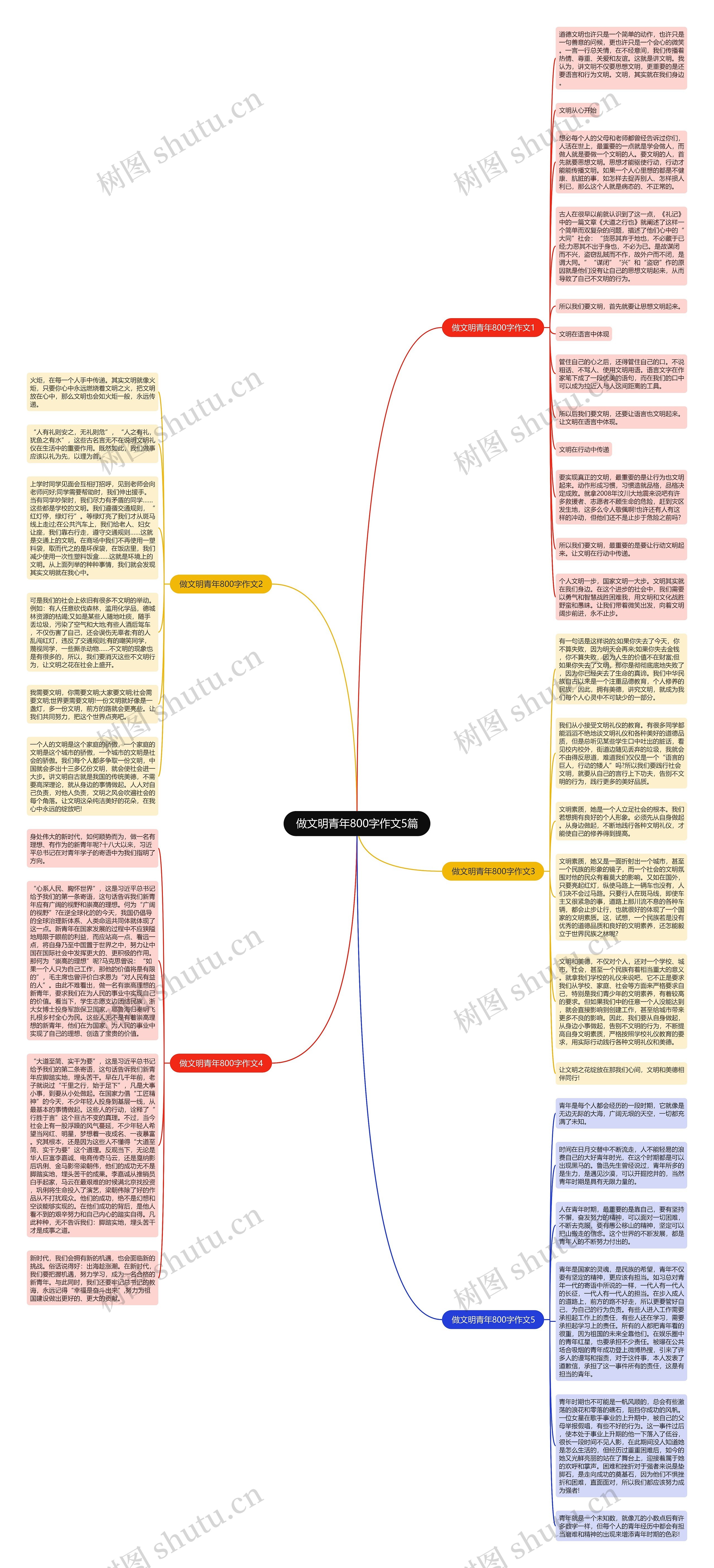 做文明青年800字作文5篇思维导图