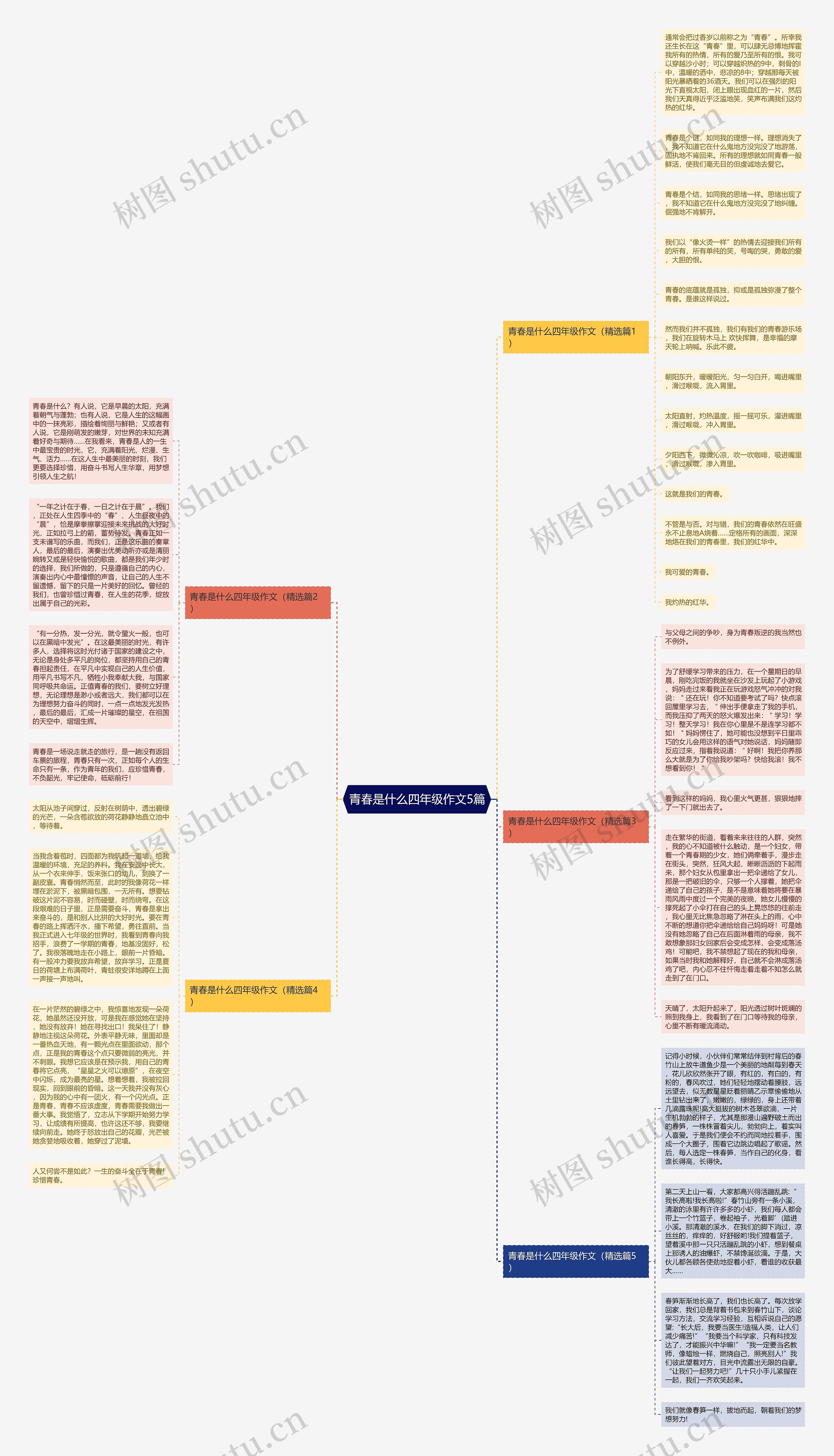 青春是什么四年级作文5篇思维导图