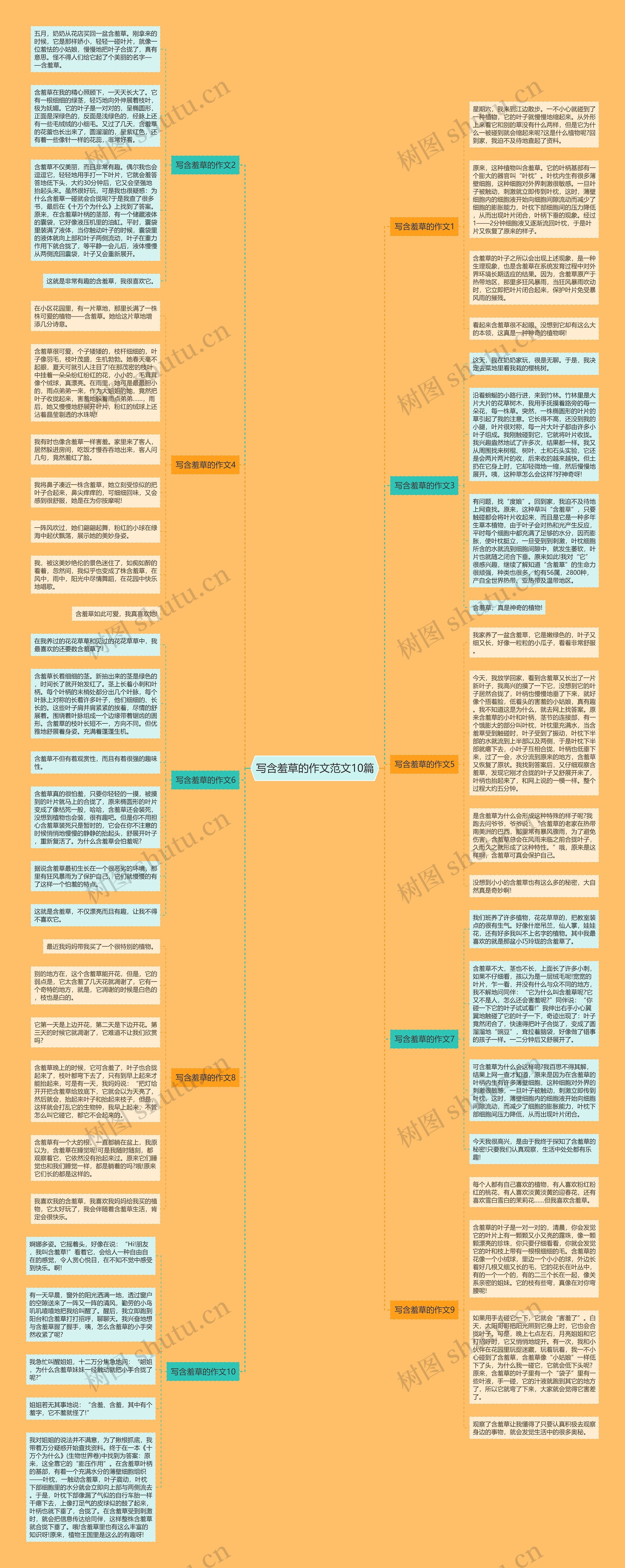写含羞草的作文范文10篇思维导图