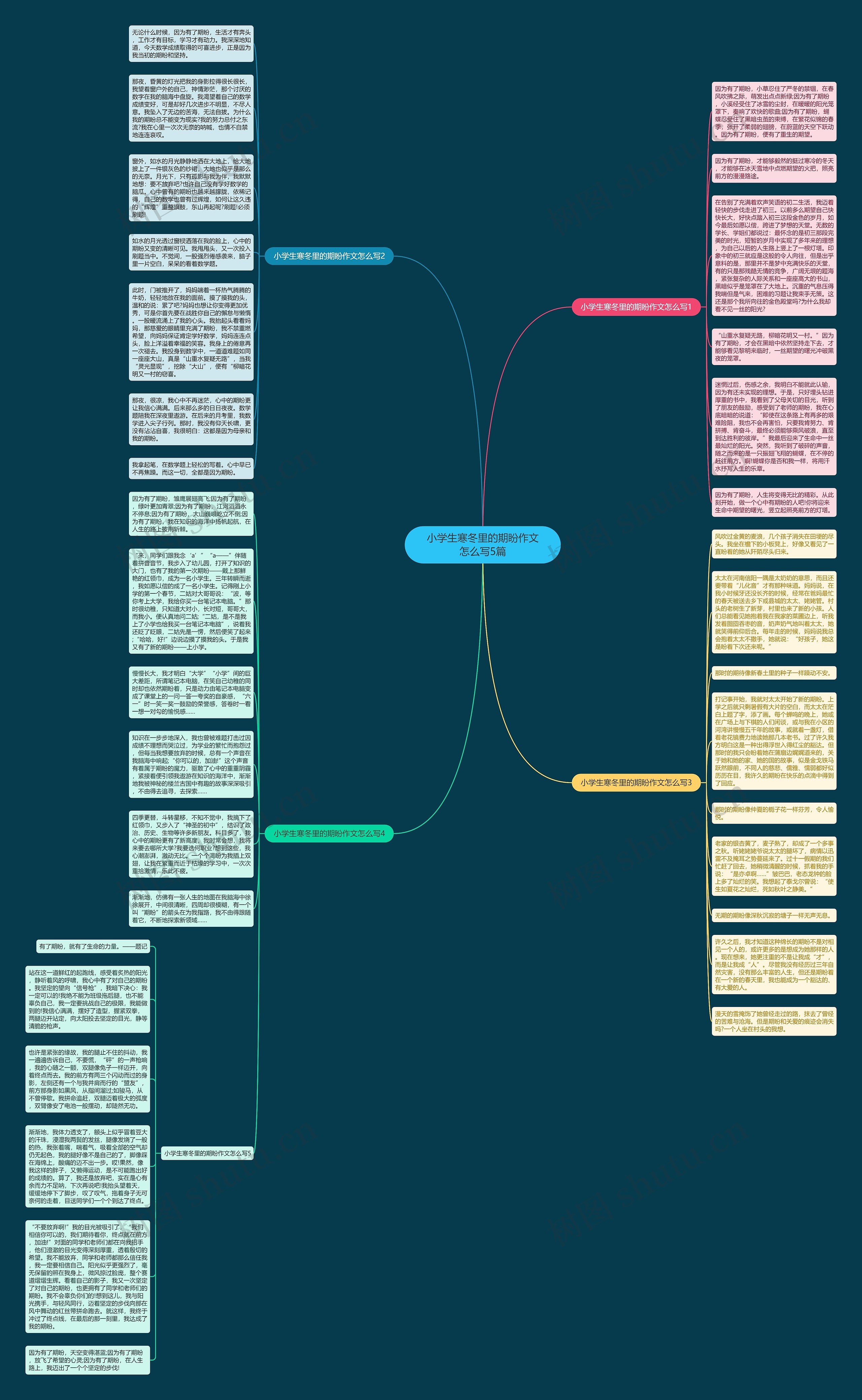 小学生寒冬里的期盼作文怎么写5篇思维导图