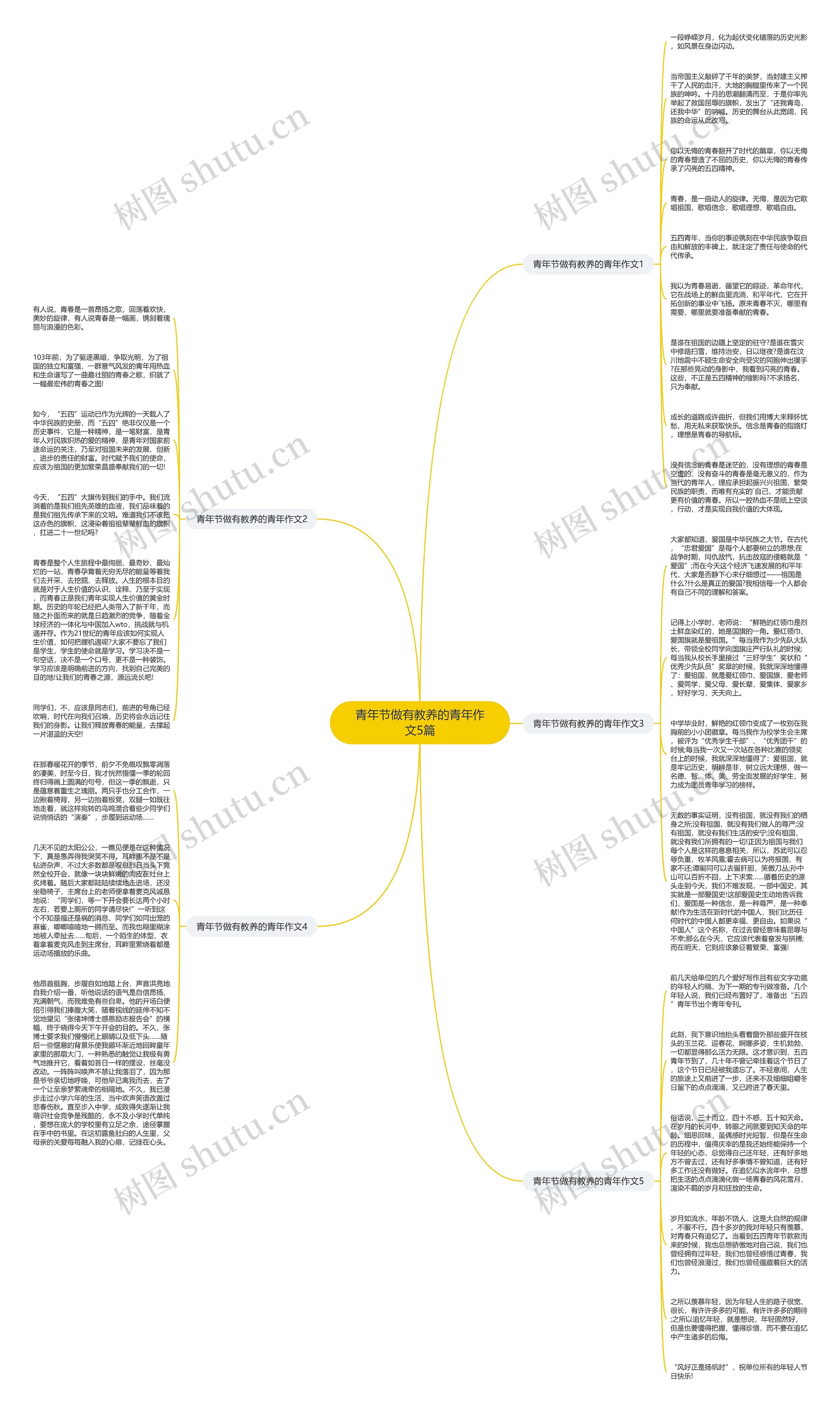 青年节做有教养的青年作文5篇思维导图