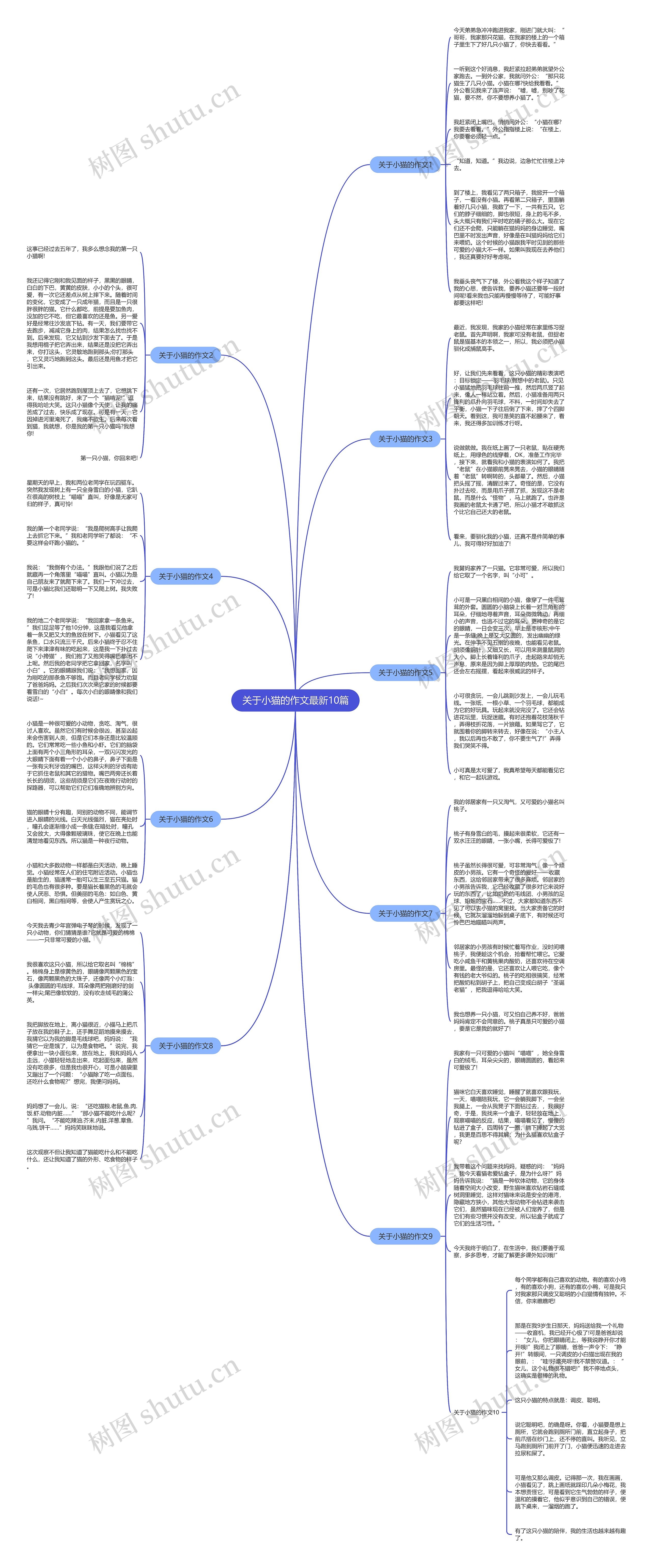 关于小猫的作文最新10篇思维导图