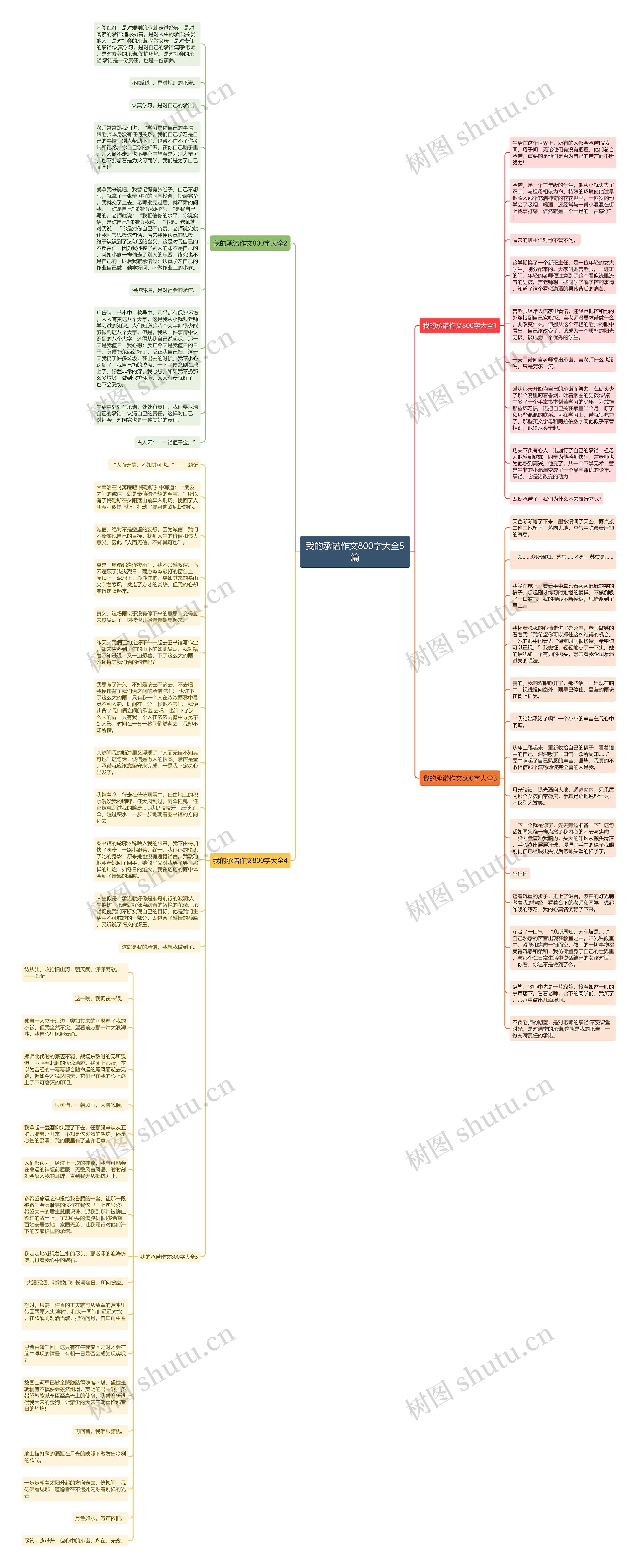 我的承诺作文800字大全5篇思维导图