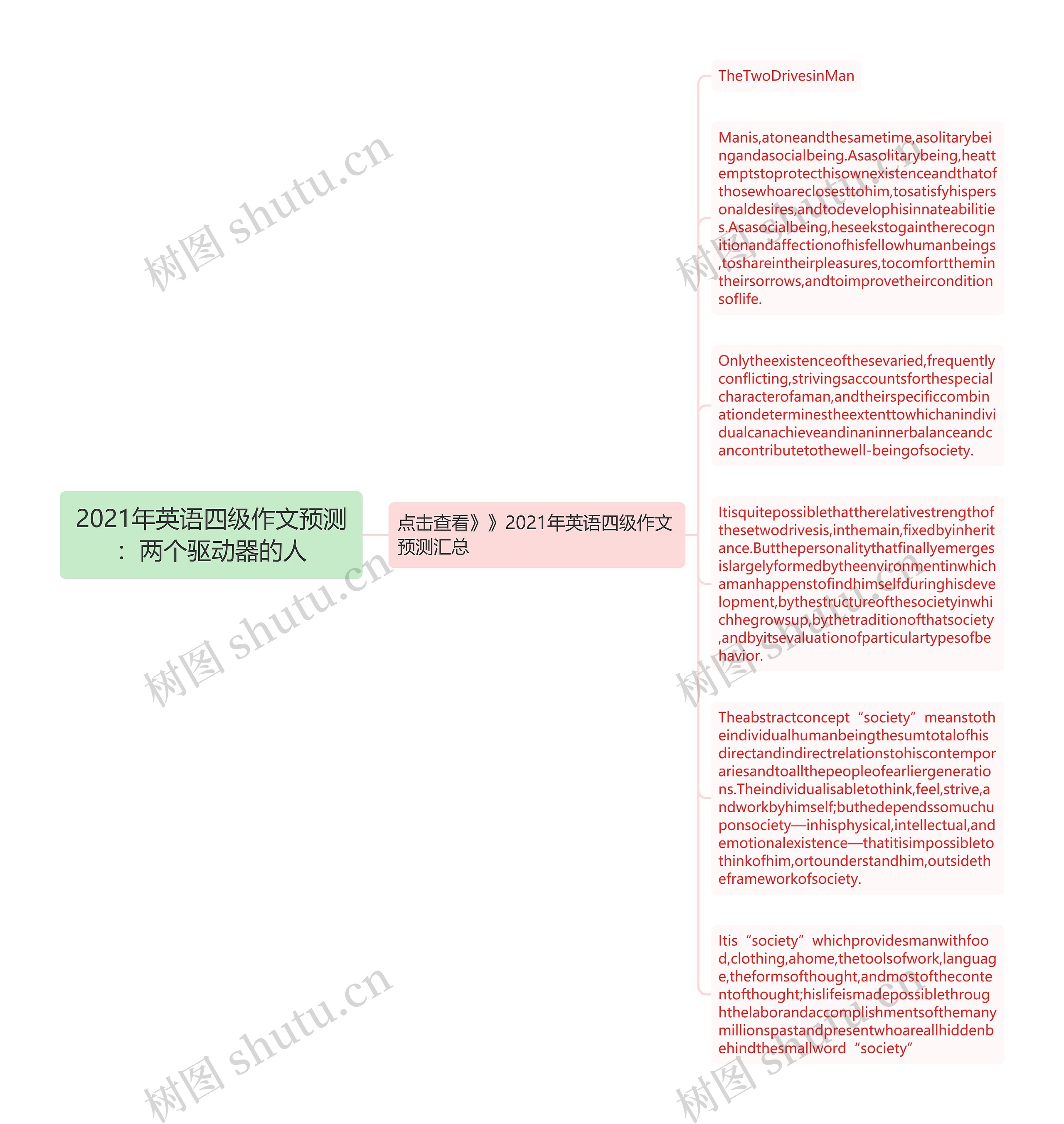 2021年英语四级作文预测：两个驱动器的人思维导图