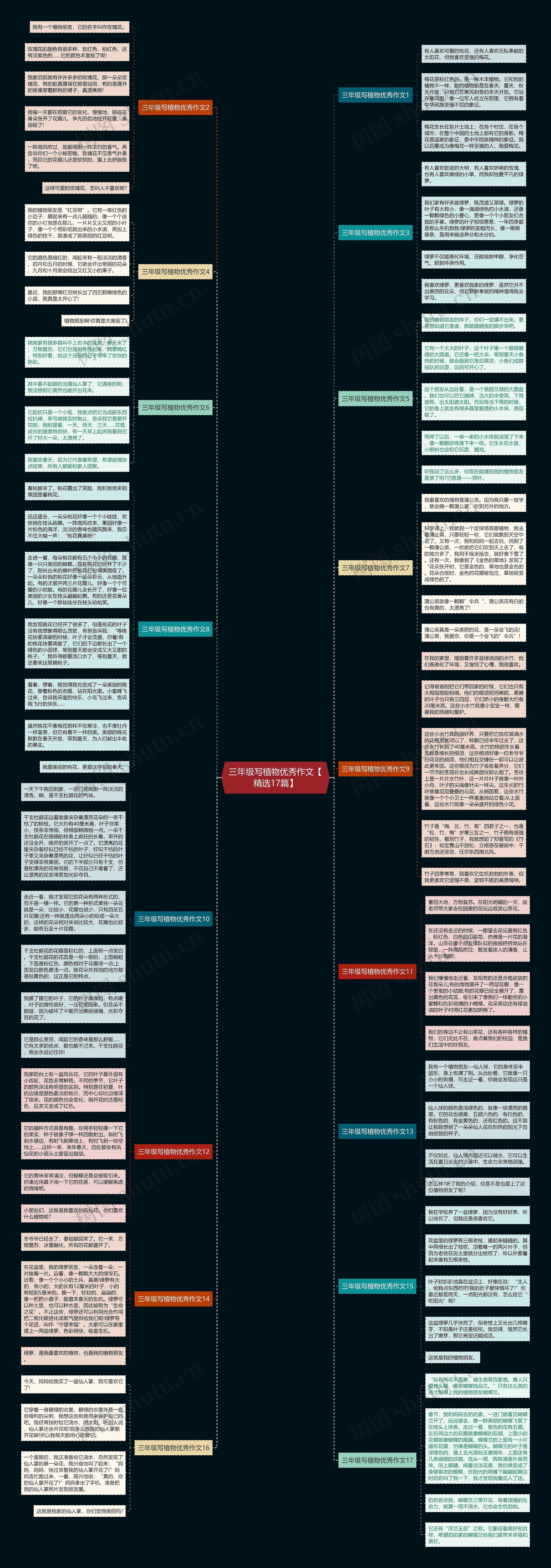 三年级写植物优秀作文【精选17篇】