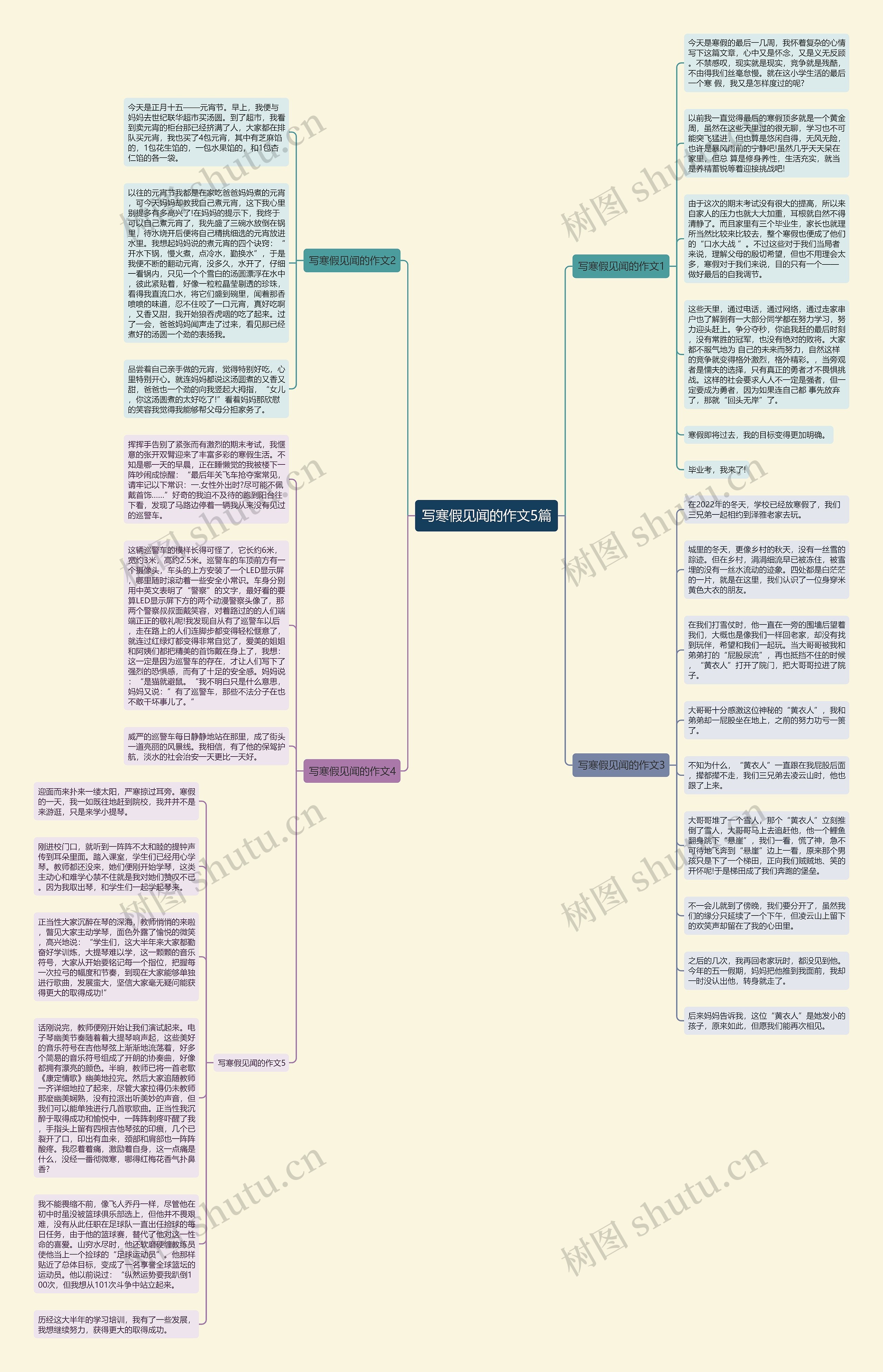 写寒假见闻的作文5篇思维导图