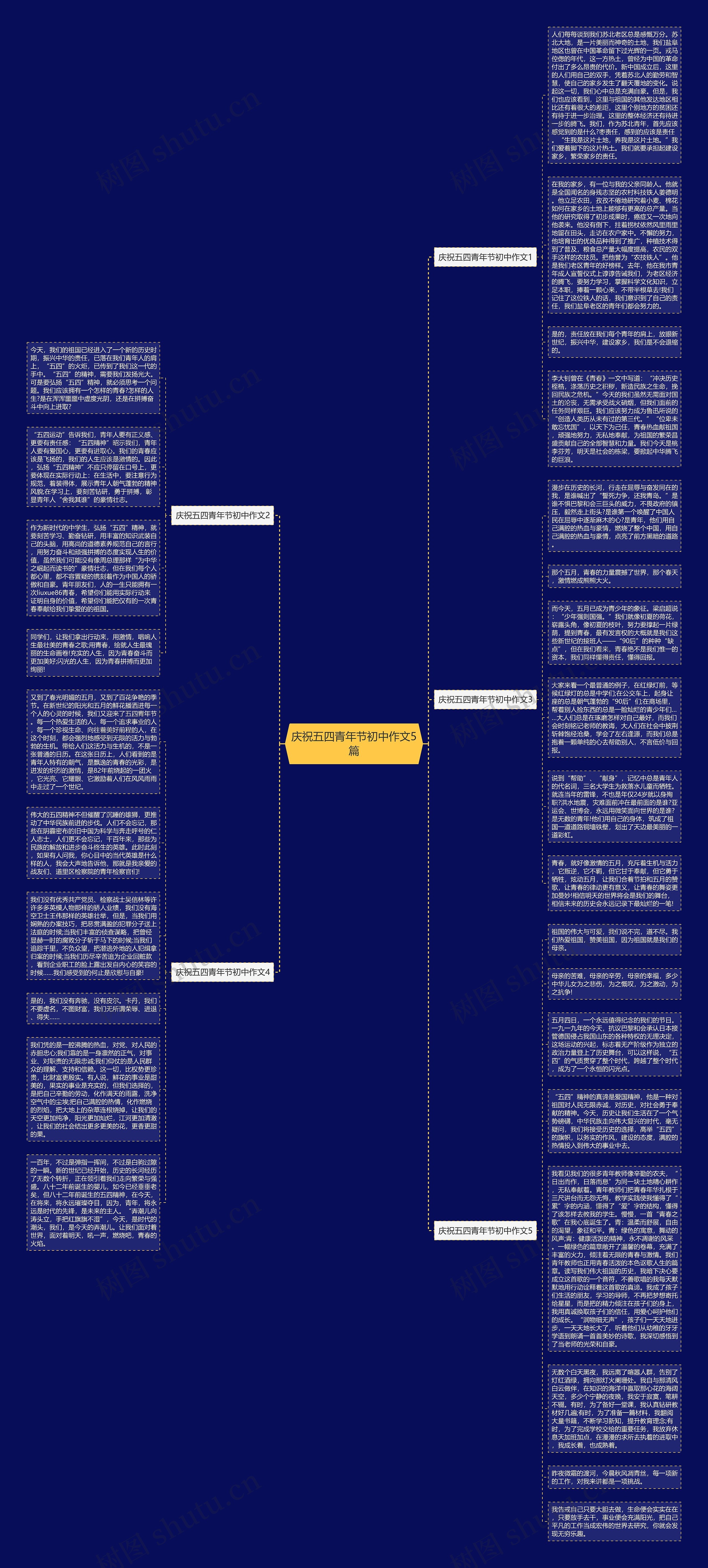 庆祝五四青年节初中作文5篇思维导图