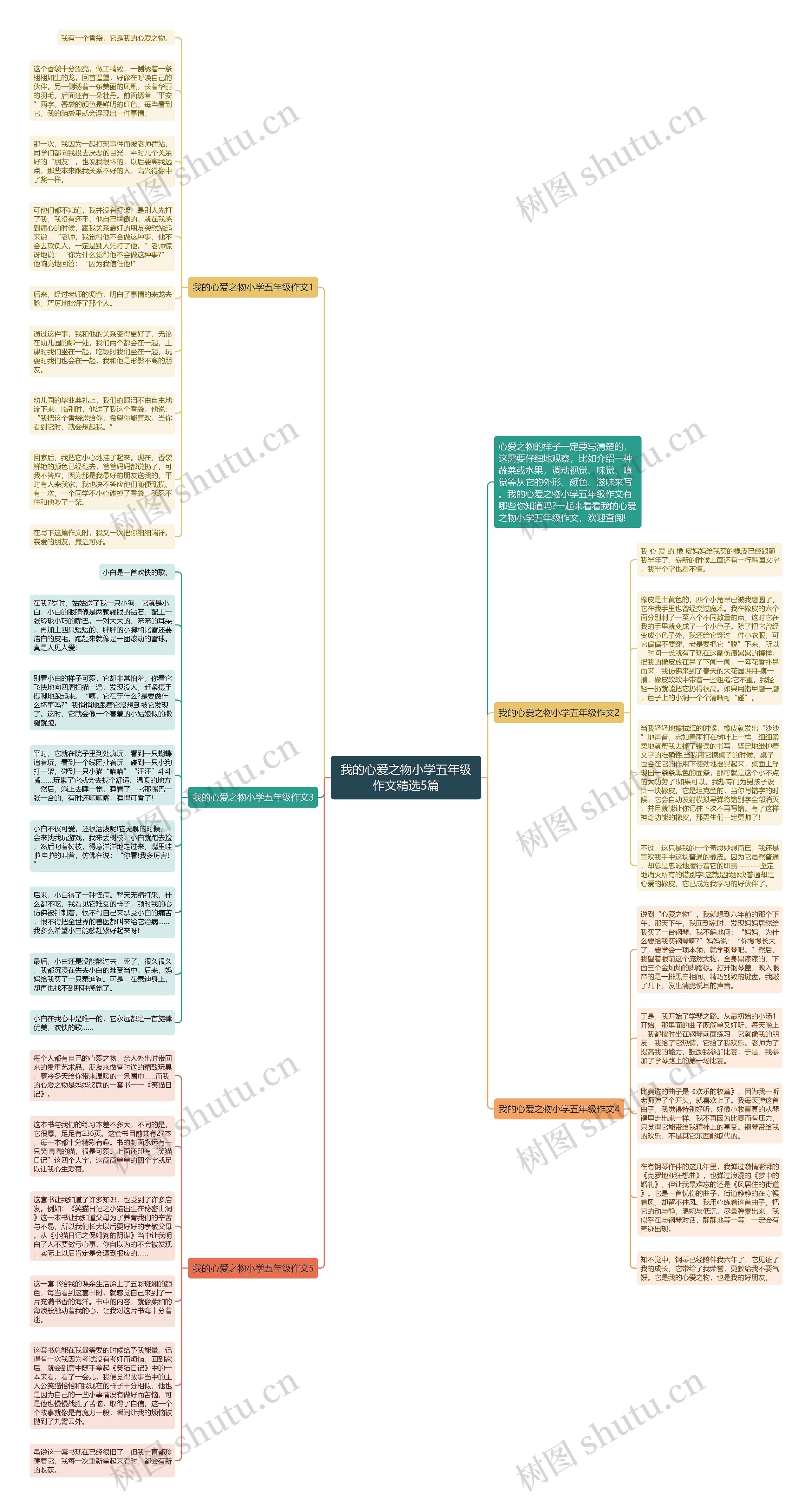 我的心爱之物小学五年级作文精选5篇思维导图