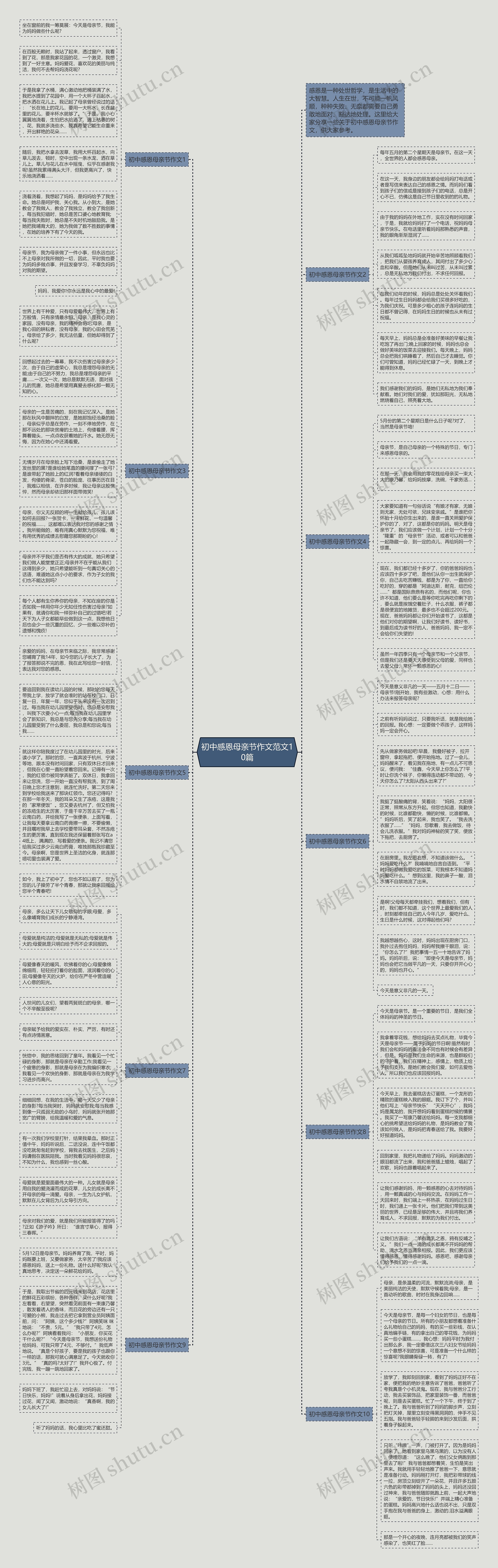 初中感恩母亲节作文范文10篇思维导图