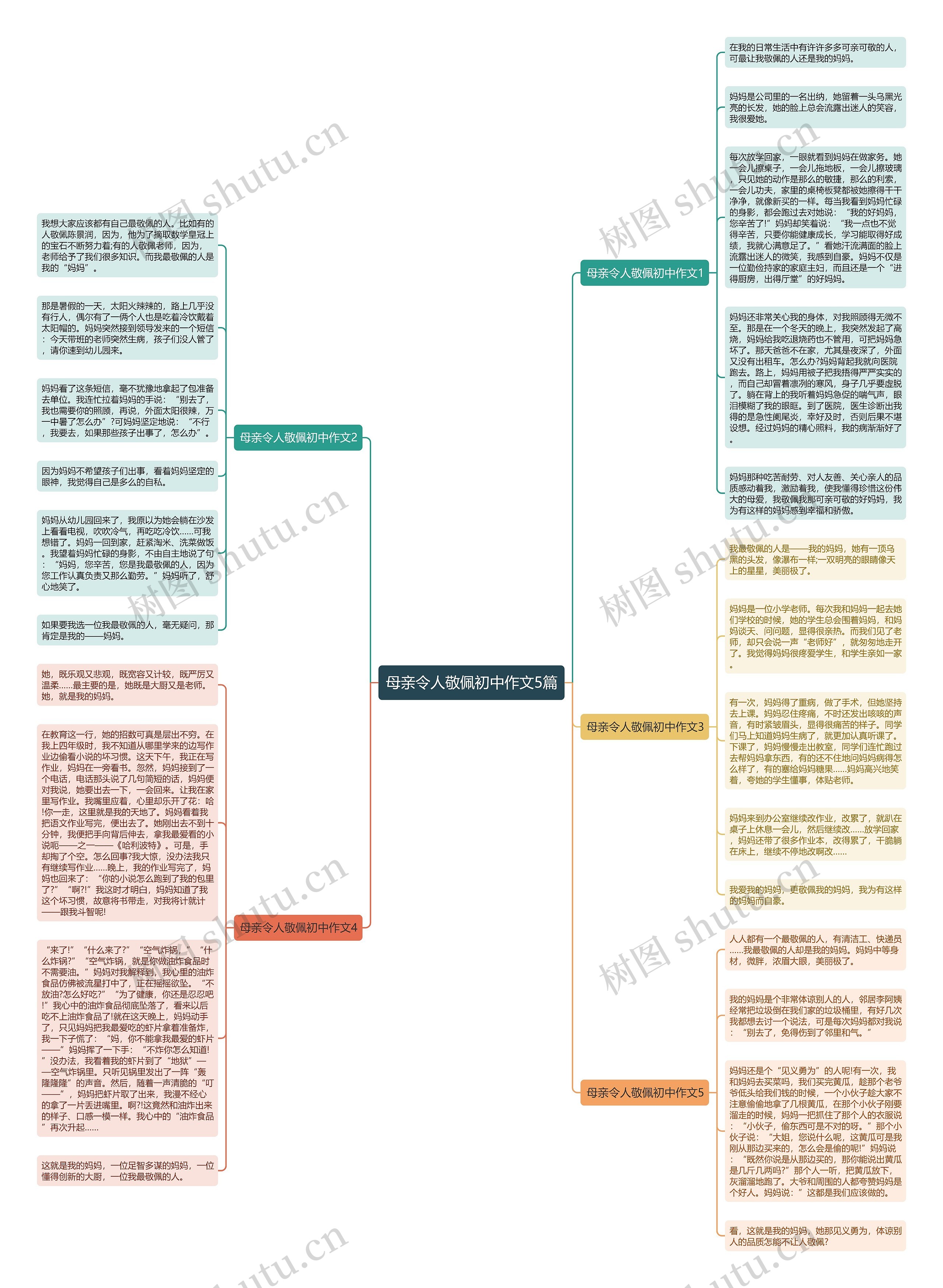 母亲令人敬佩初中作文5篇思维导图