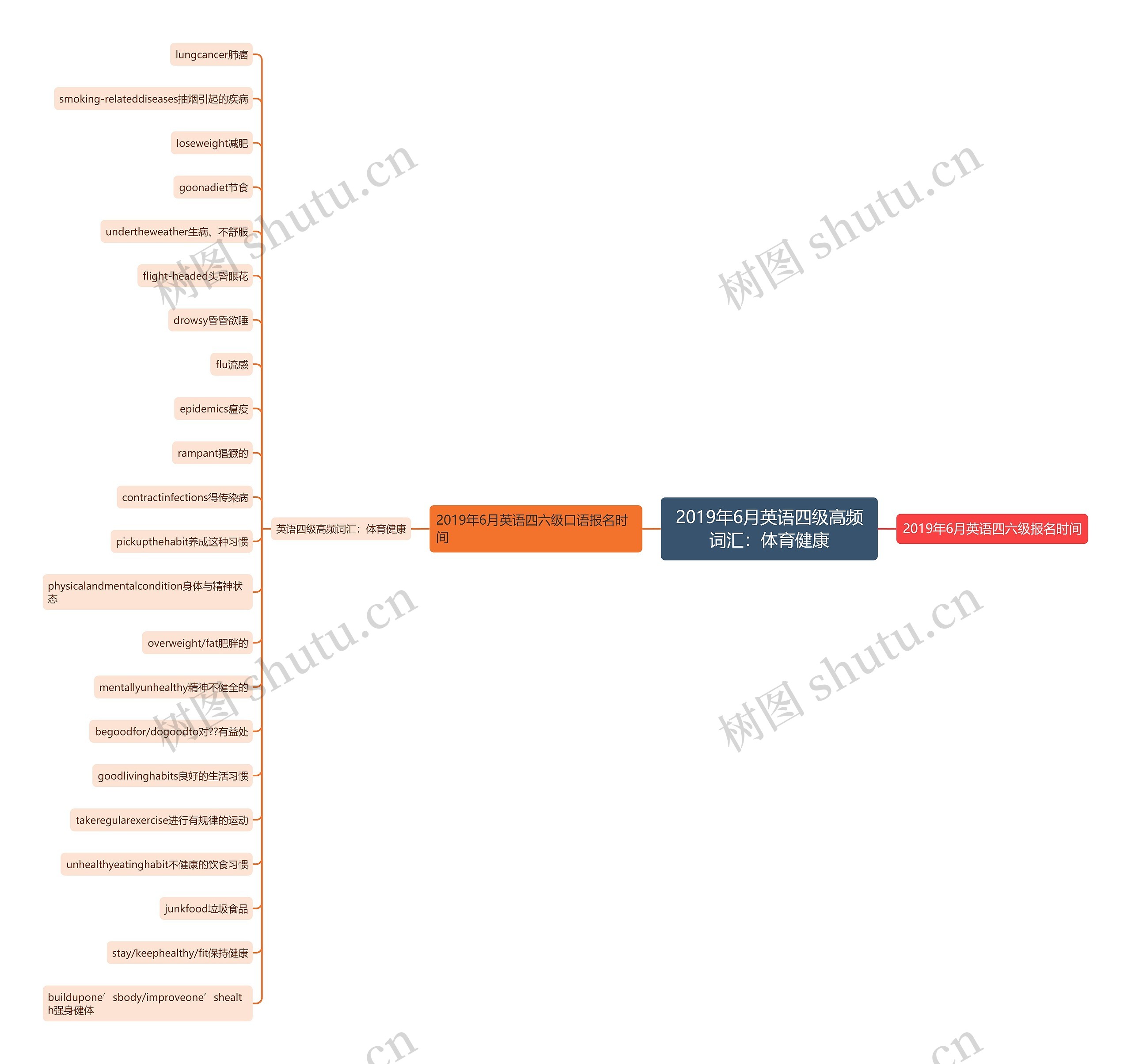 2019年6月英语四级高频词汇：体育健康思维导图