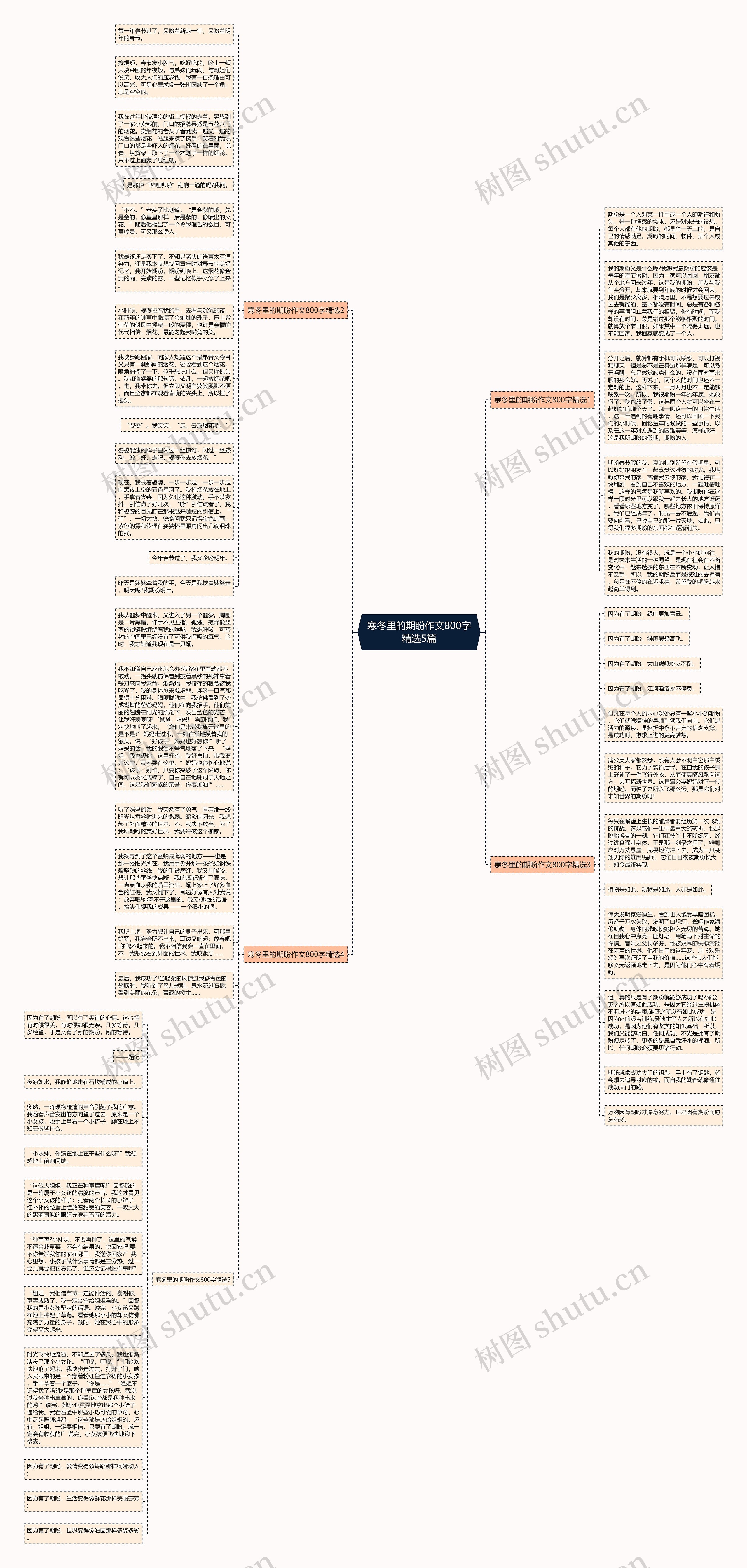 寒冬里的期盼作文800字精选5篇思维导图