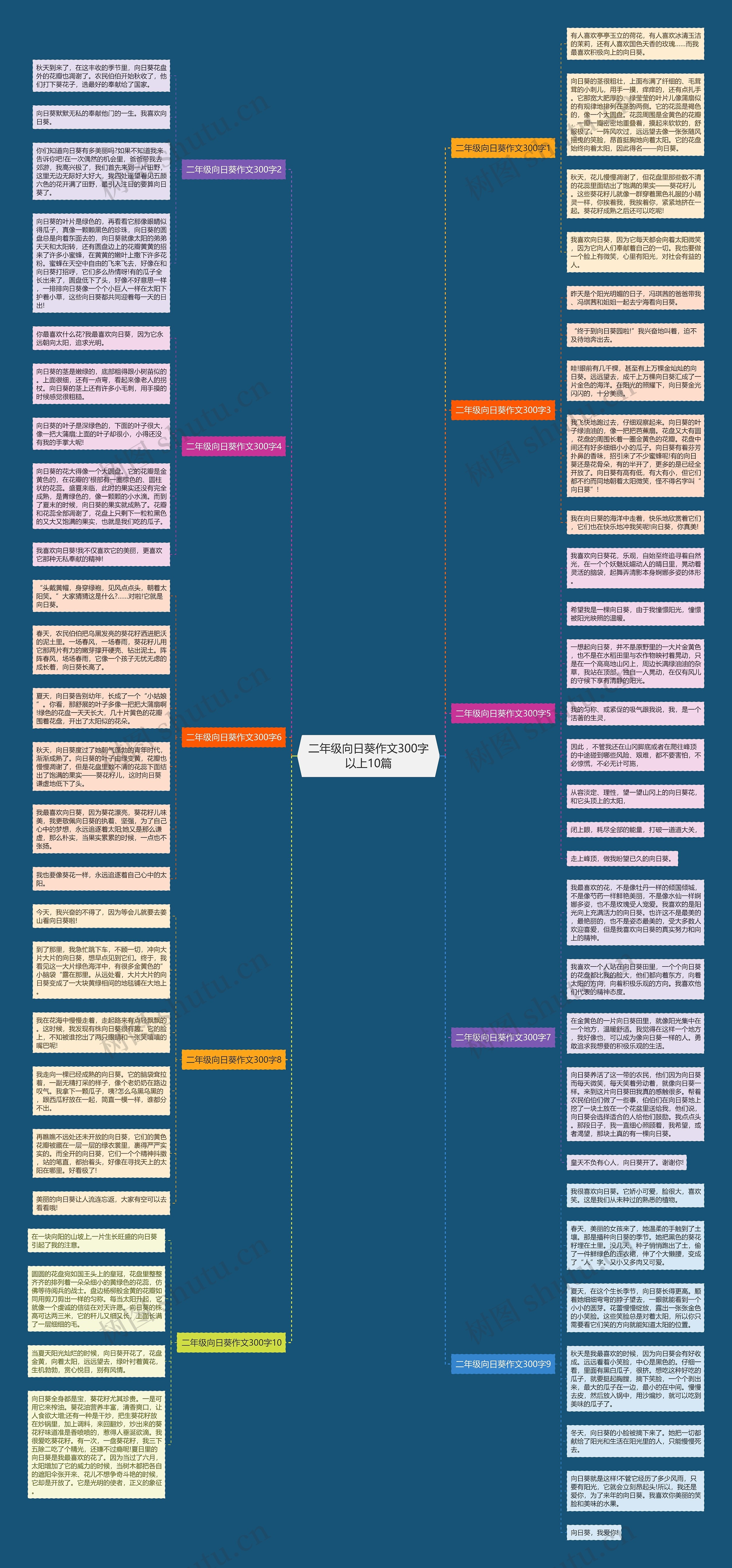 二年级向日葵作文300字以上10篇思维导图