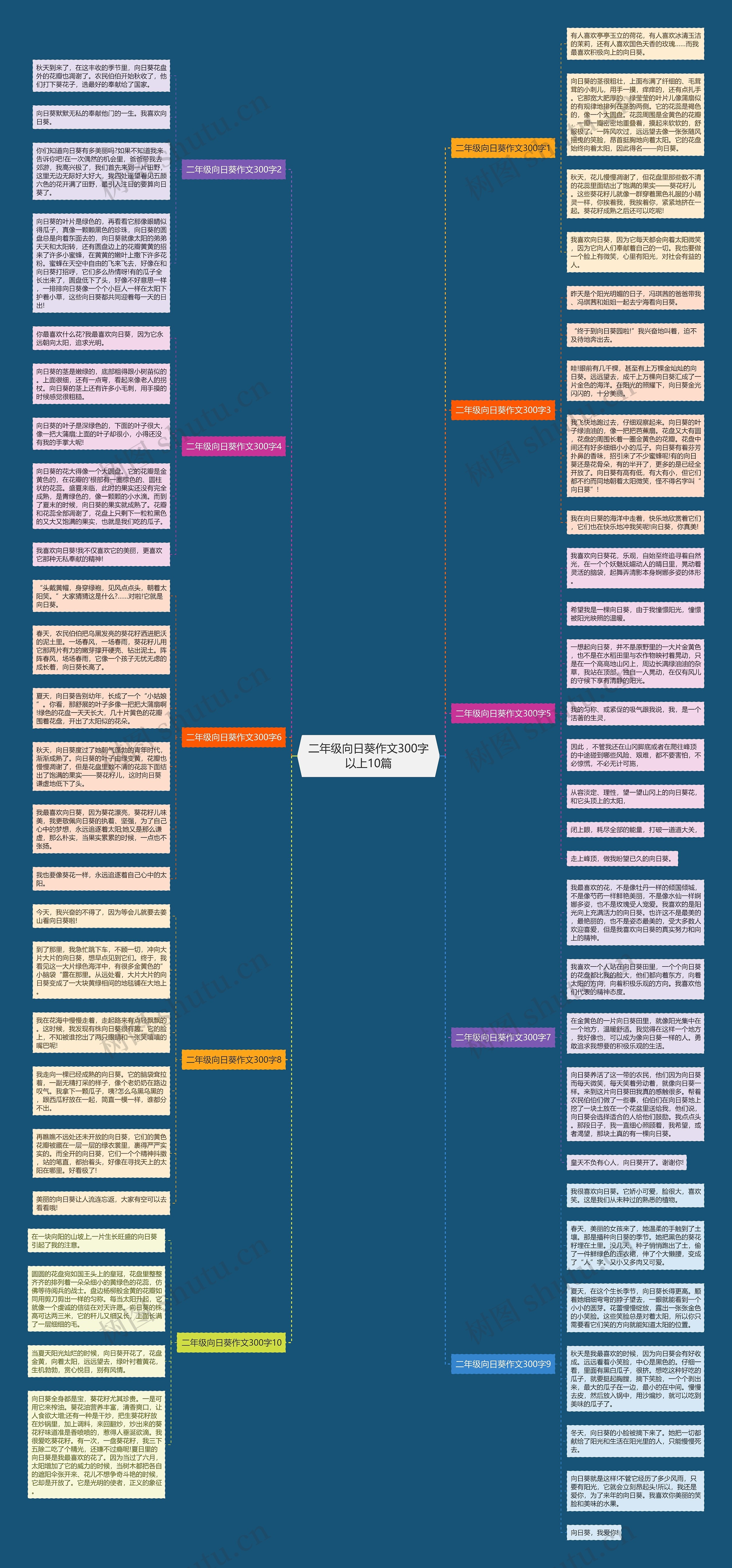 二年级向日葵作文300字以上10篇思维导图高清图 二年级向日葵作文300字以上10篇思维导图