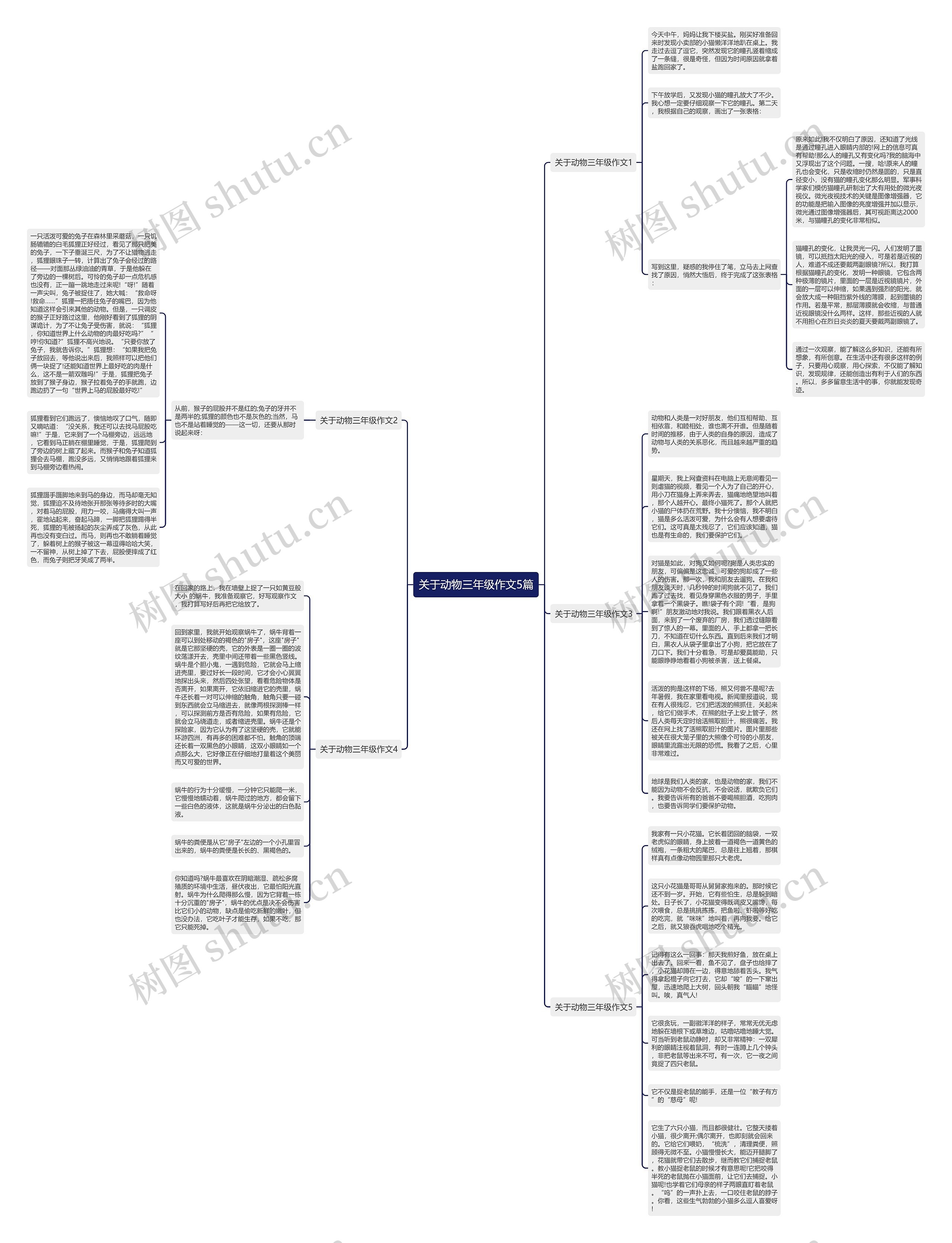 关于动物三年级作文5篇思维导图