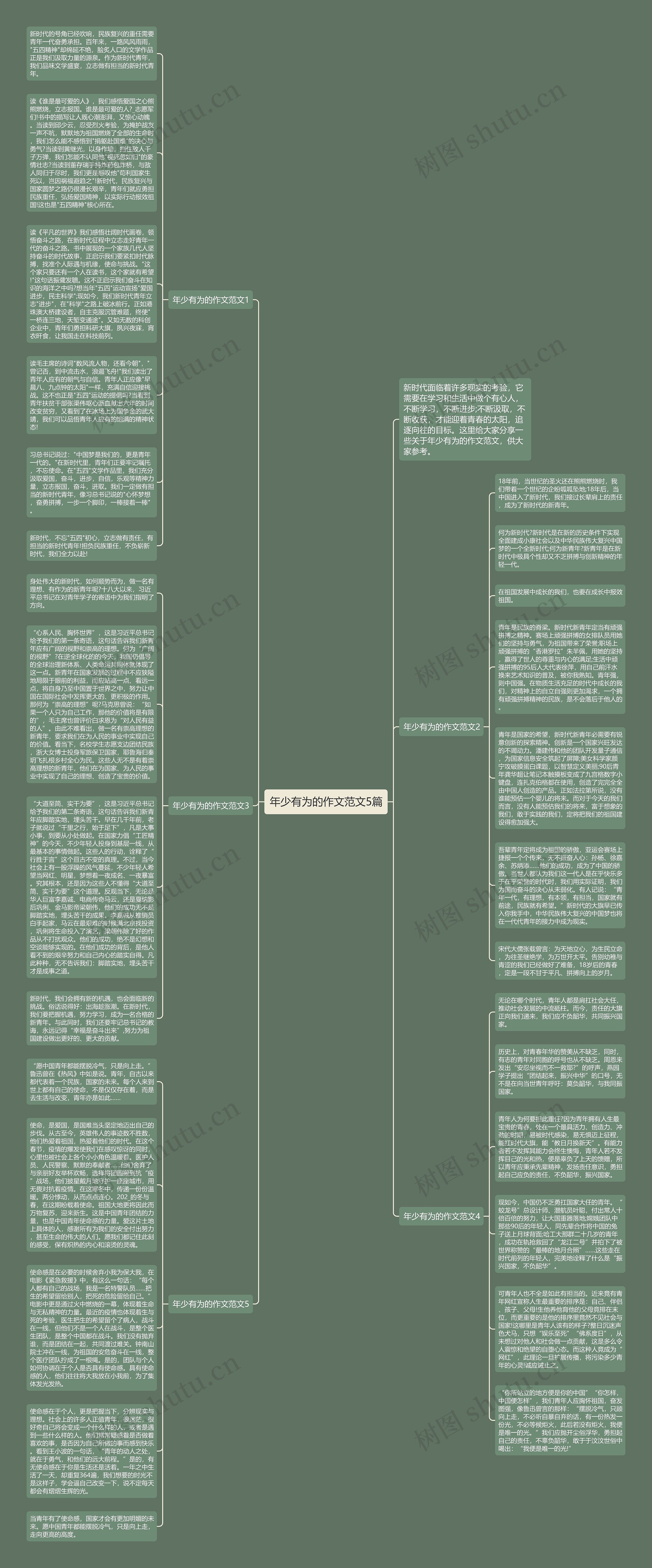年少有为的作文范文5篇思维导图