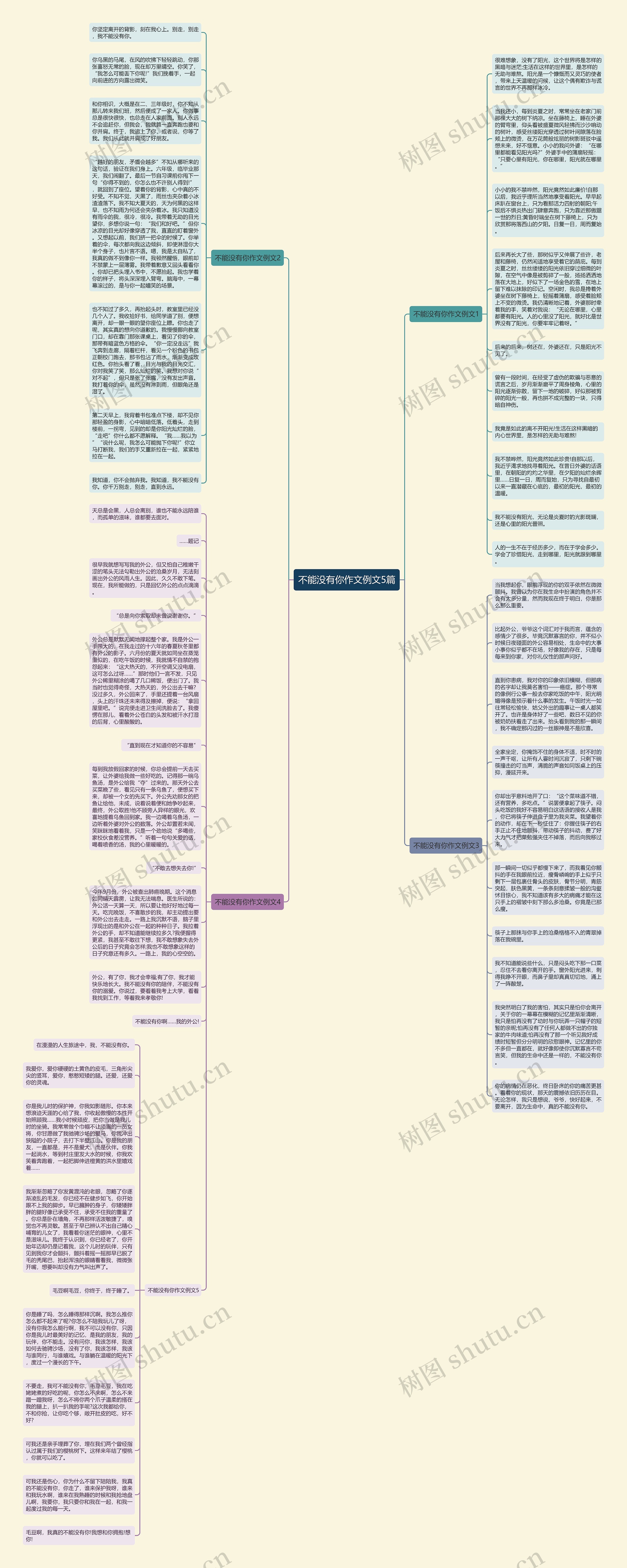 不能没有你作文例文5篇思维导图