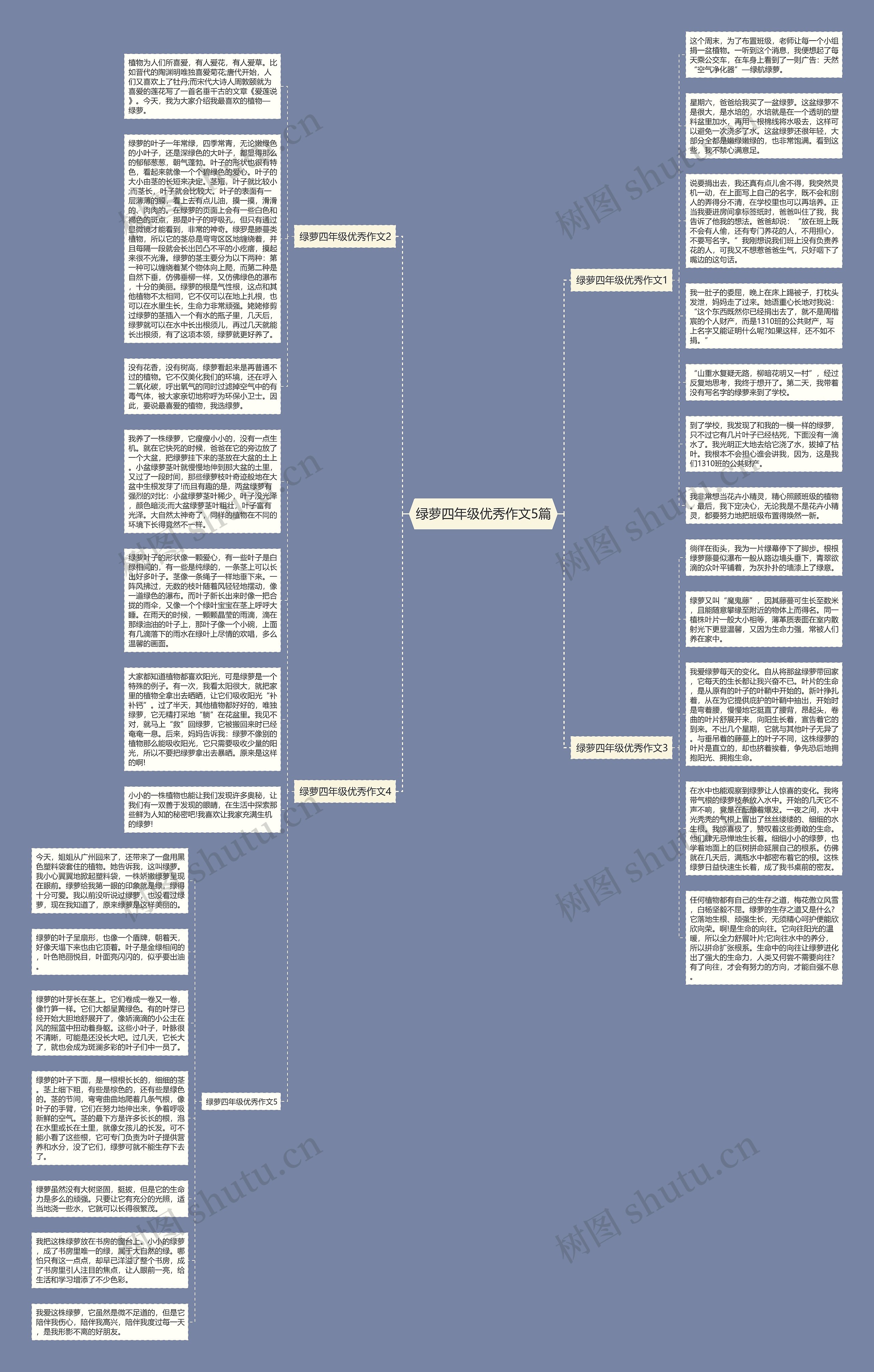 绿萝四年级优秀作文5篇思维导图