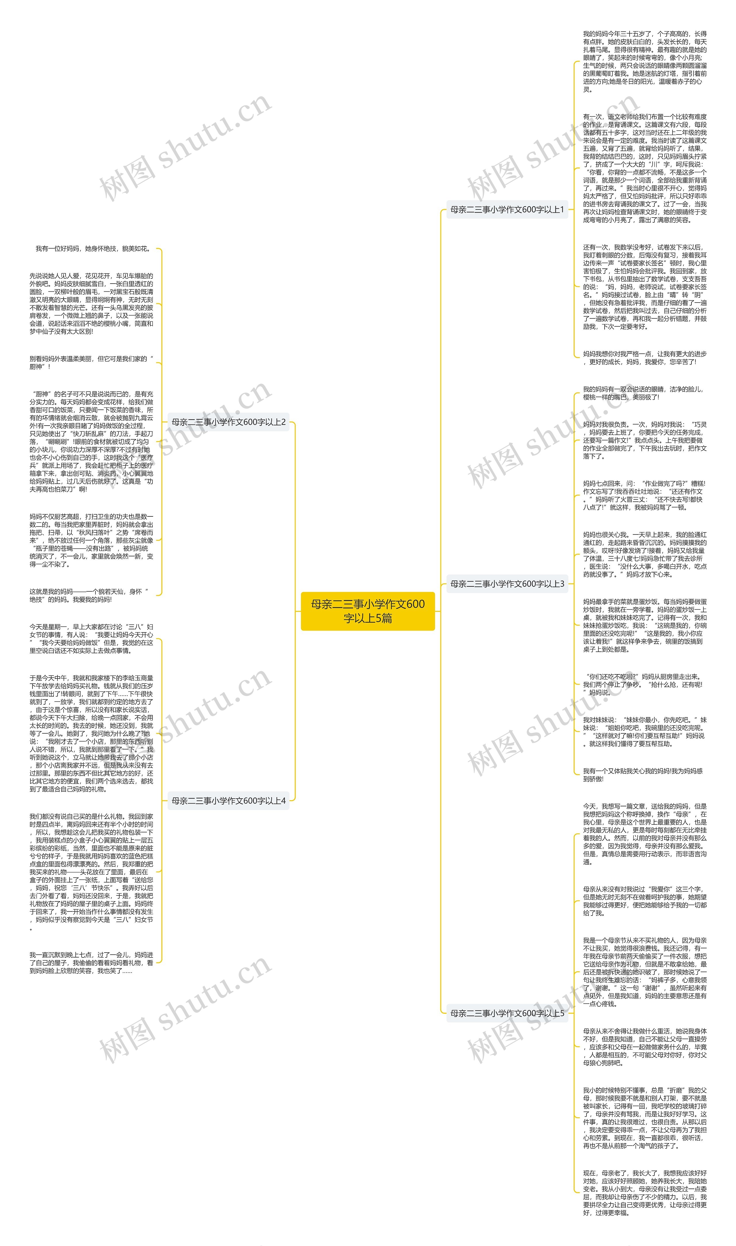 母亲二三事小学作文600字以上5篇思维导图