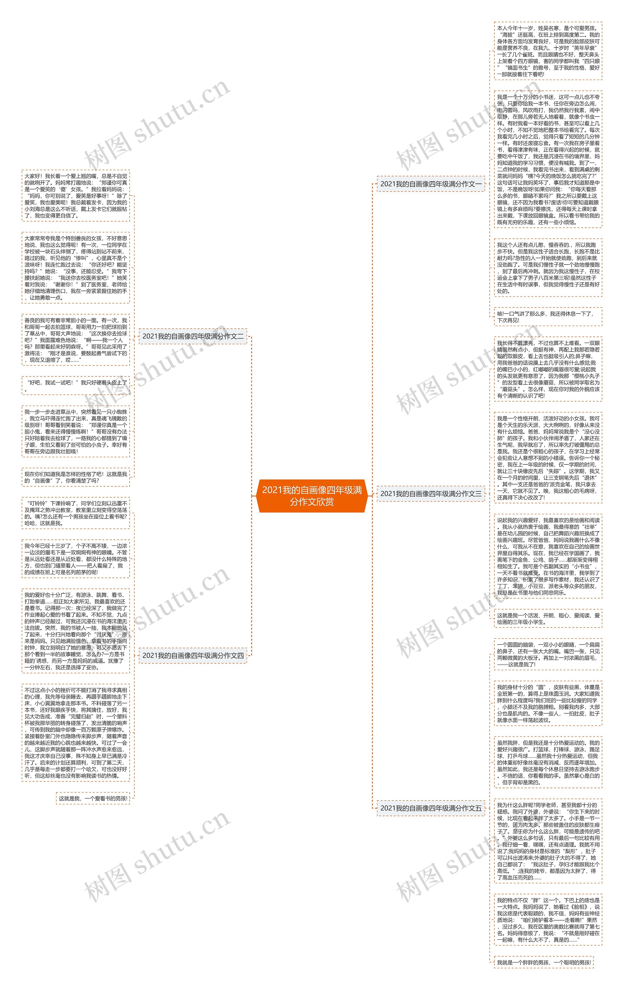 2021我的自画像四年级满分作文欣赏思维导图