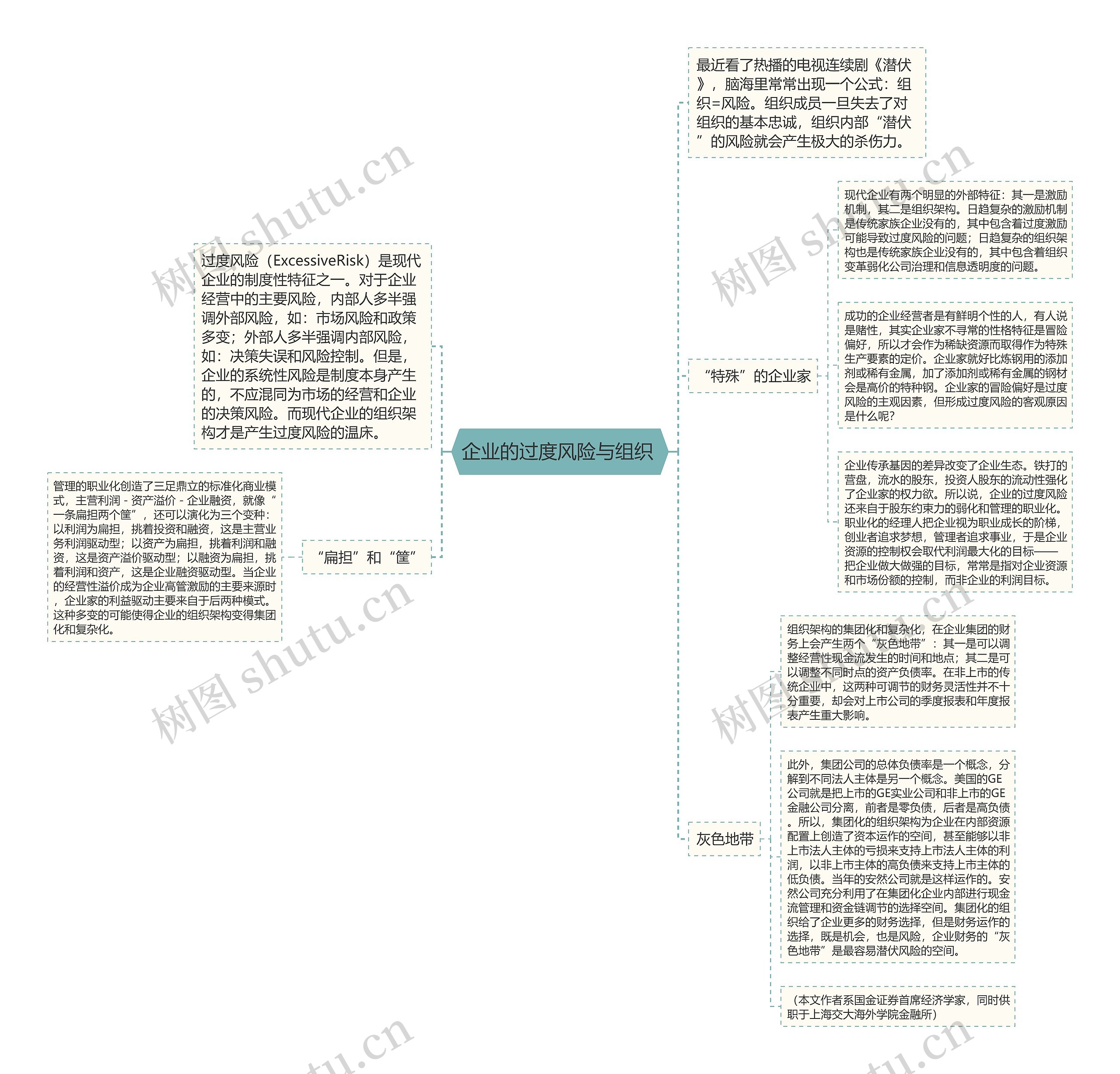 企业的过度风险与组织 