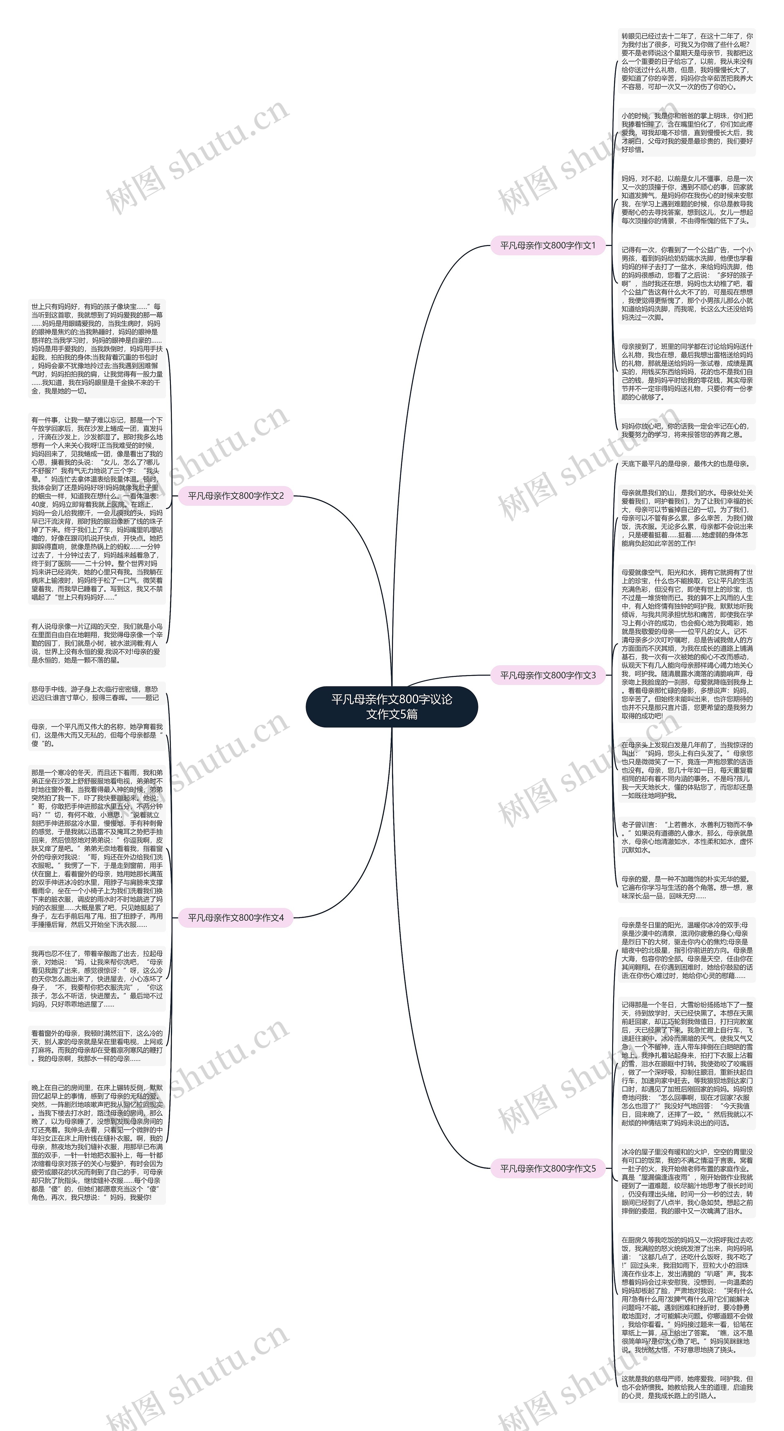 平凡母亲作文800字议论文作文5篇思维导图