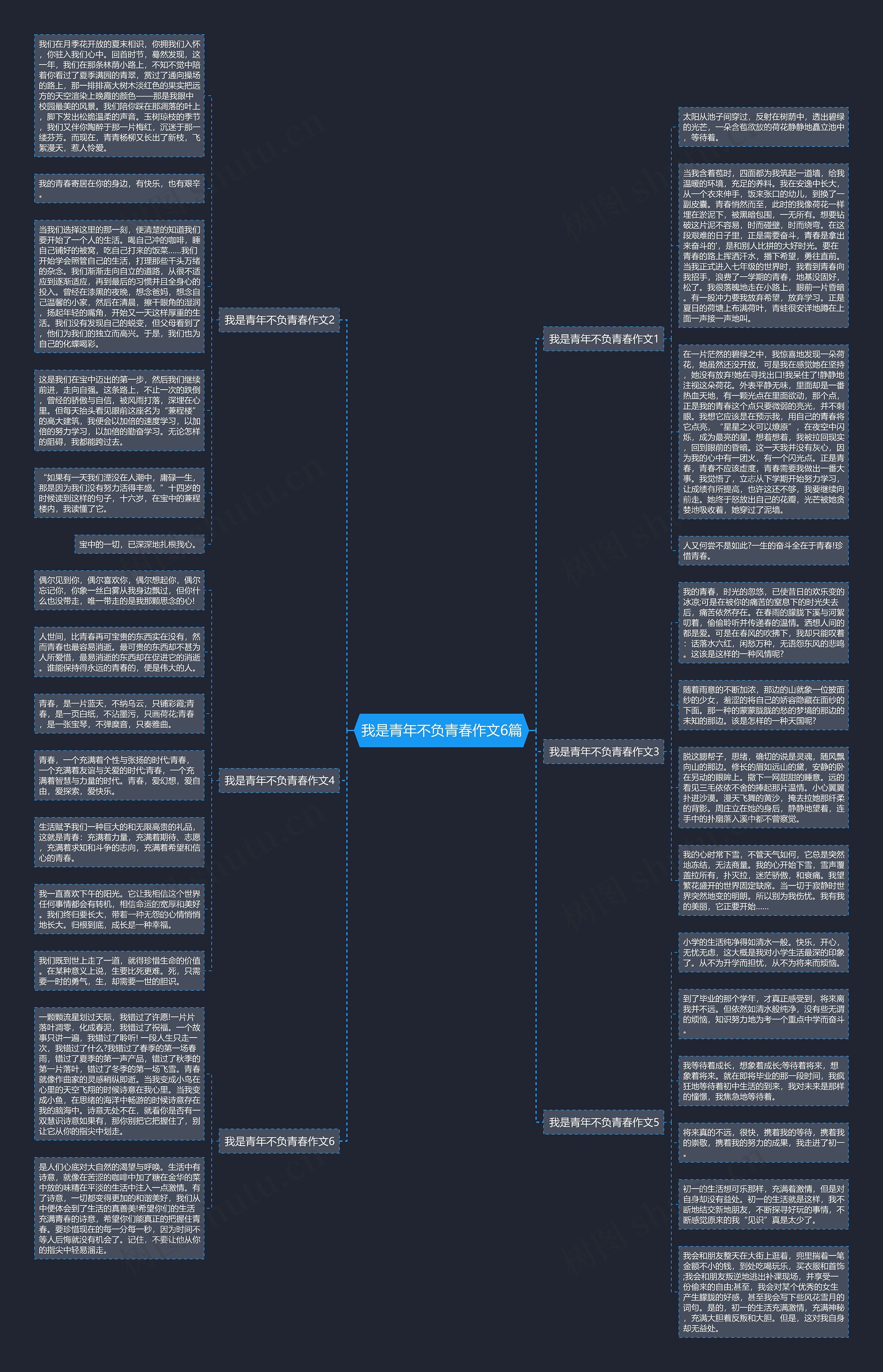 我是青年不负青春作文6篇思维导图