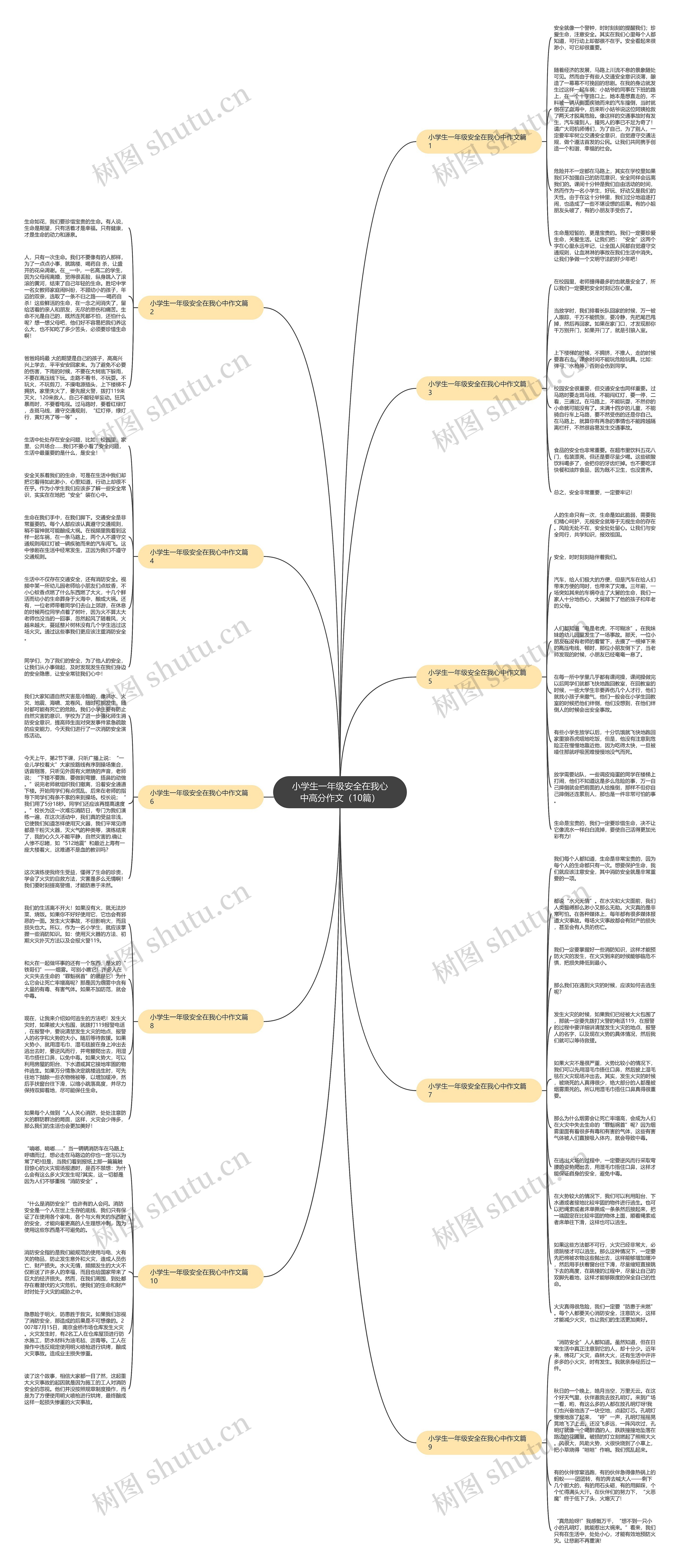 小学生一年级安全在我心中高分作文（10篇）思维导图