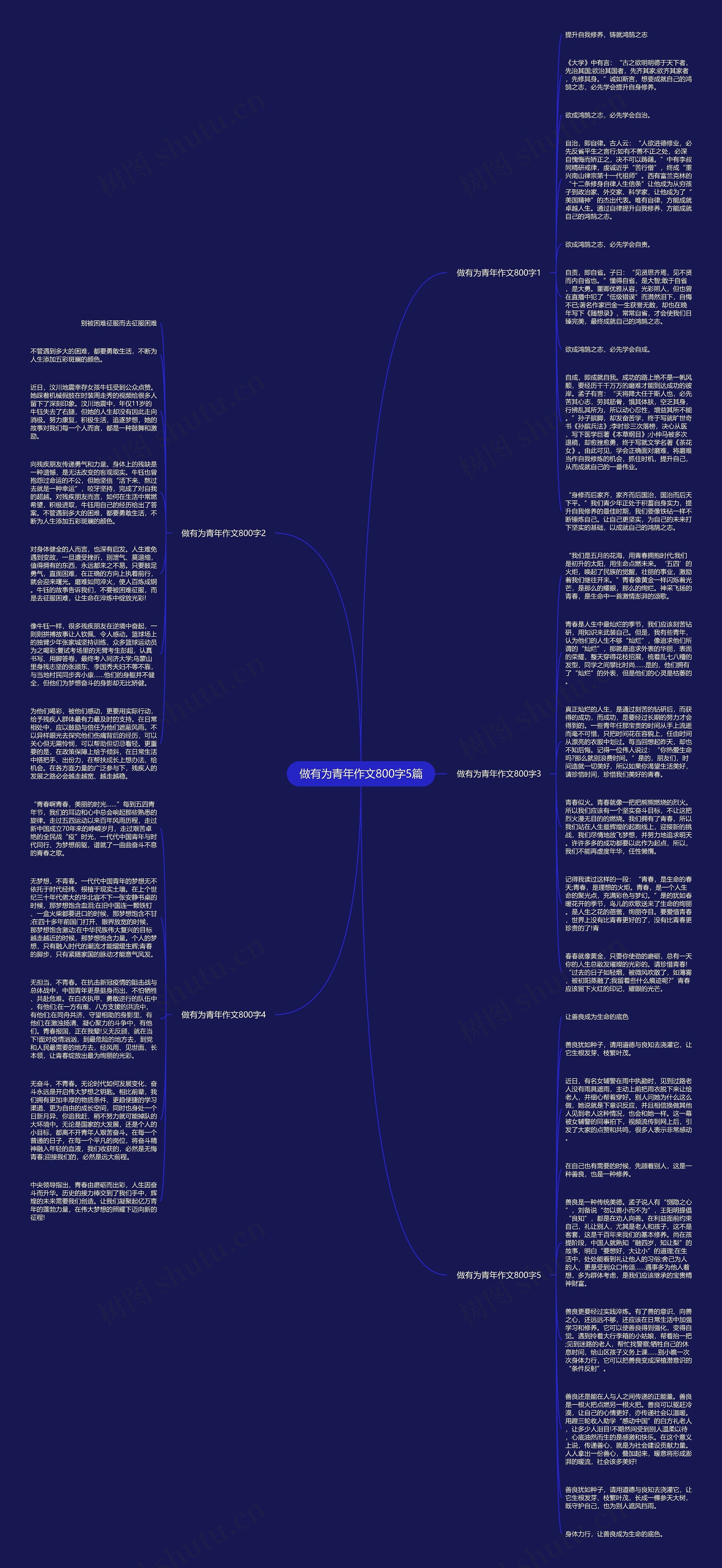 做有为青年作文800字5篇思维导图