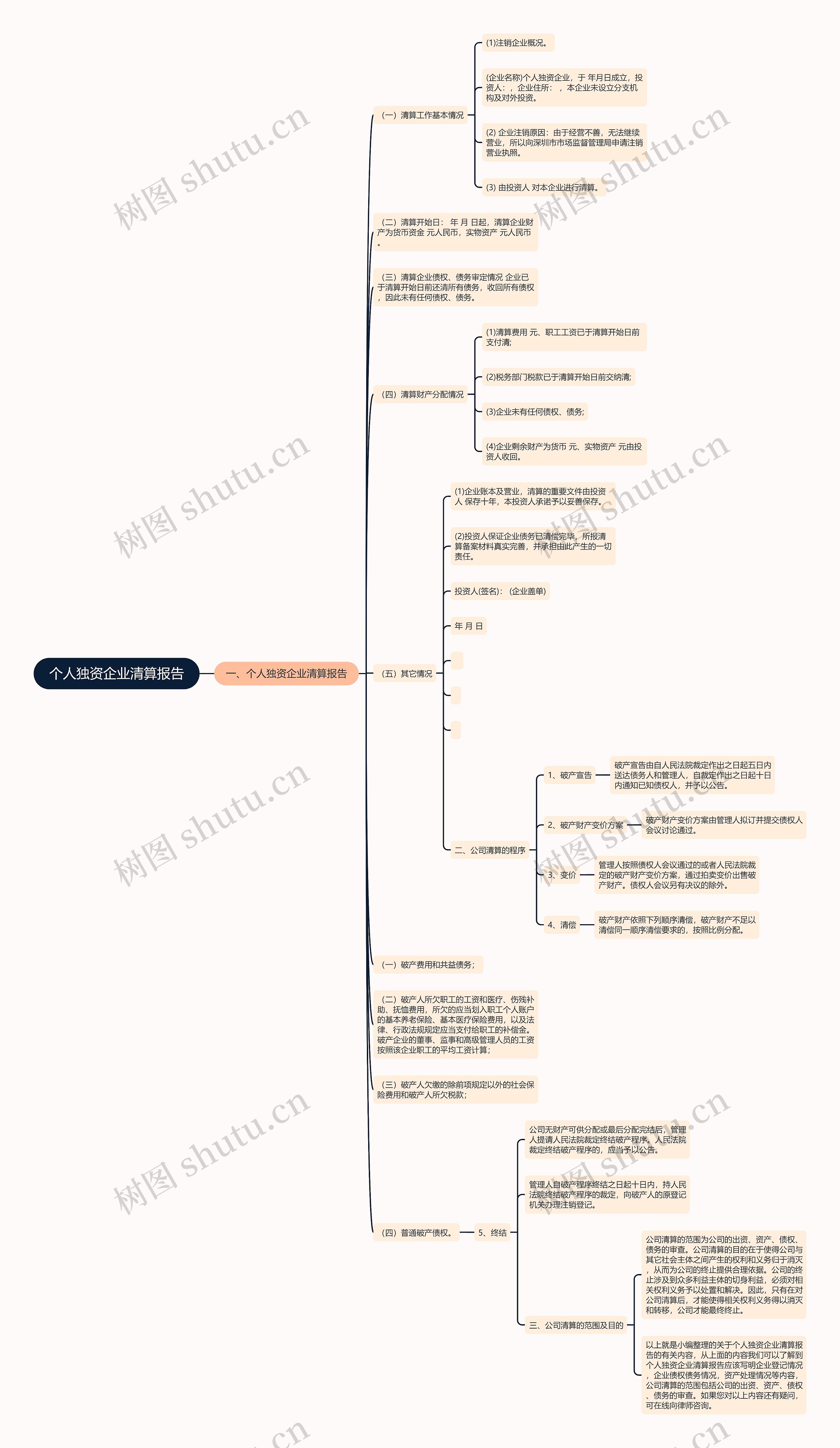 个人独资企业清算报告思维导图