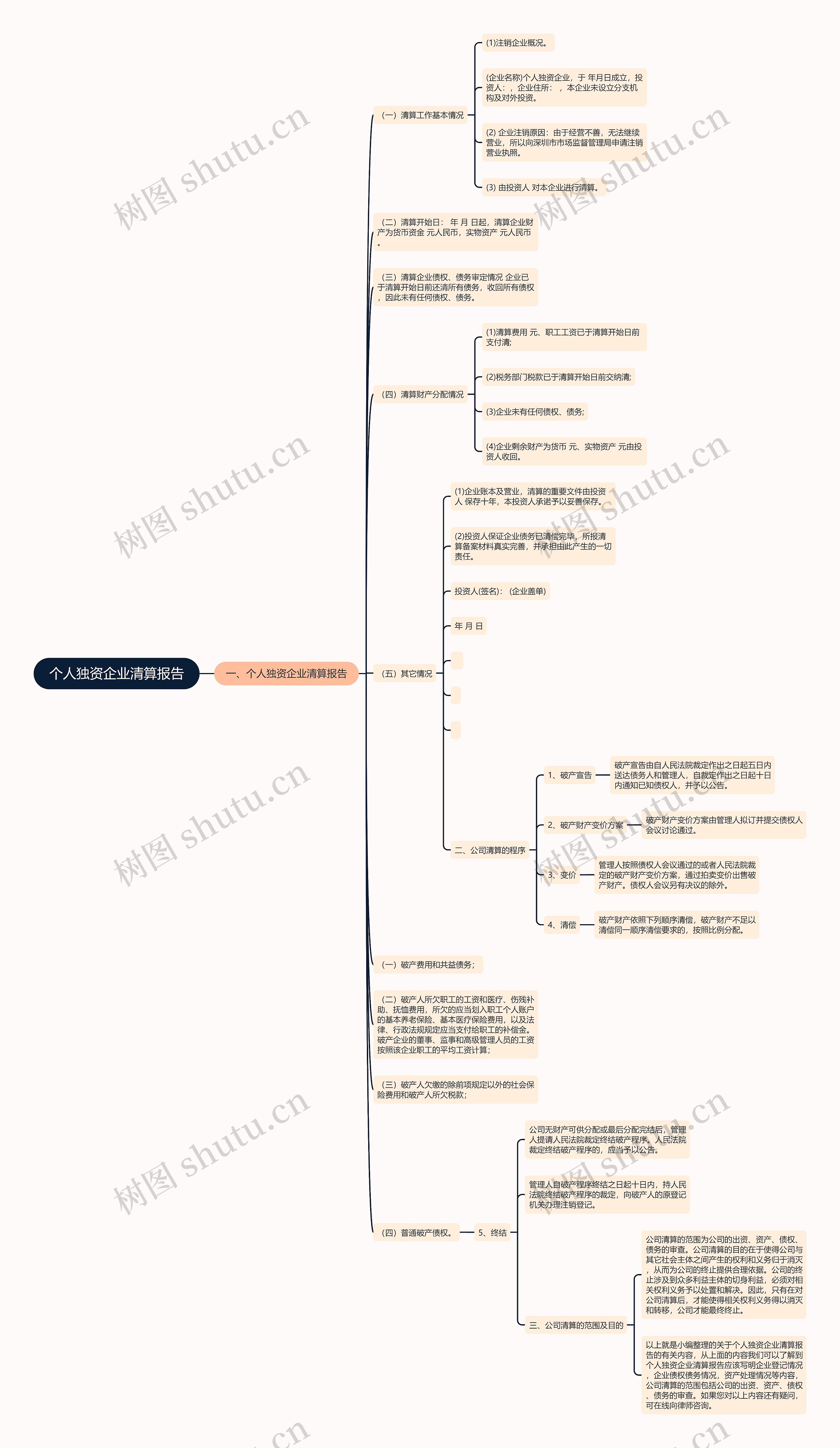 个人独资企业清算报告 个人独资企业清算报告