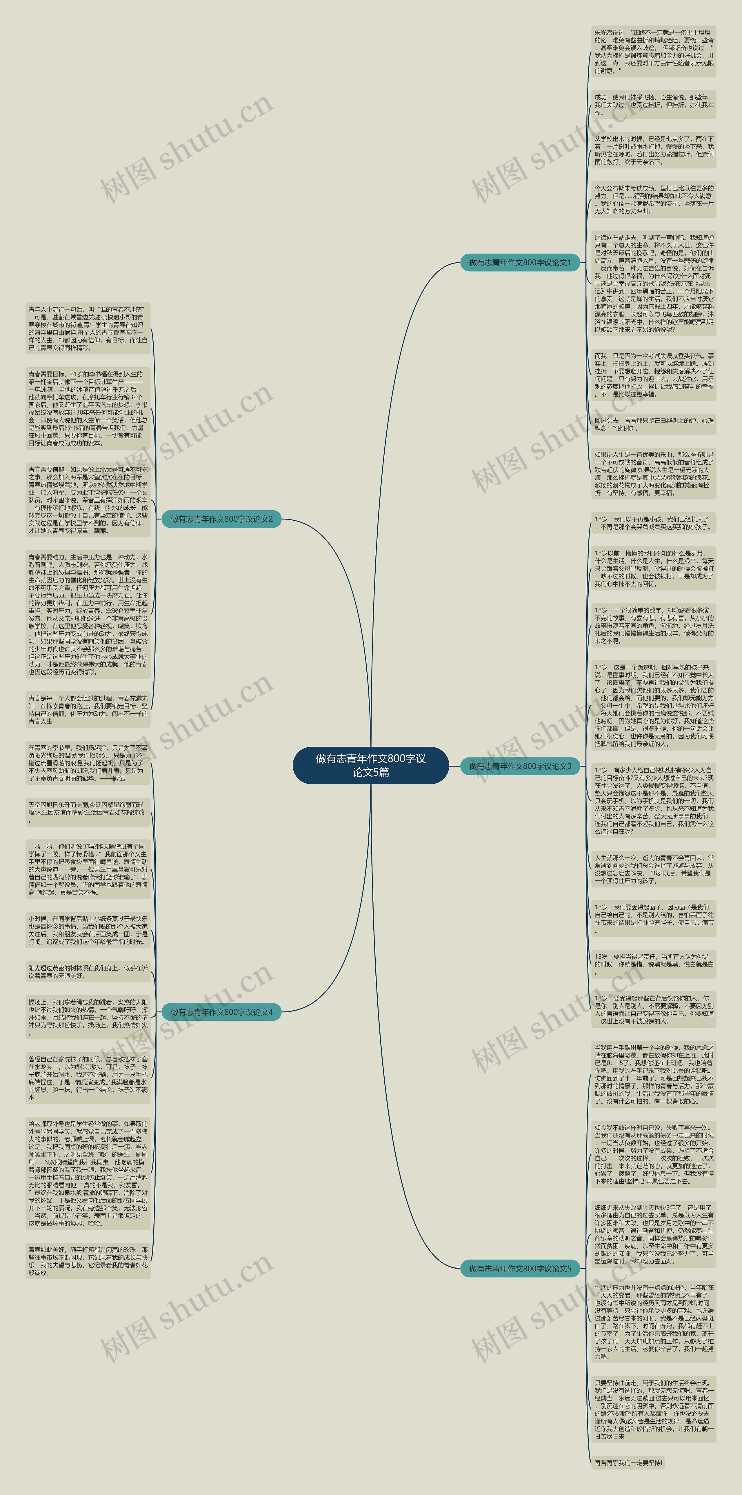 做有志青年作文800字议论文5篇思维导图
