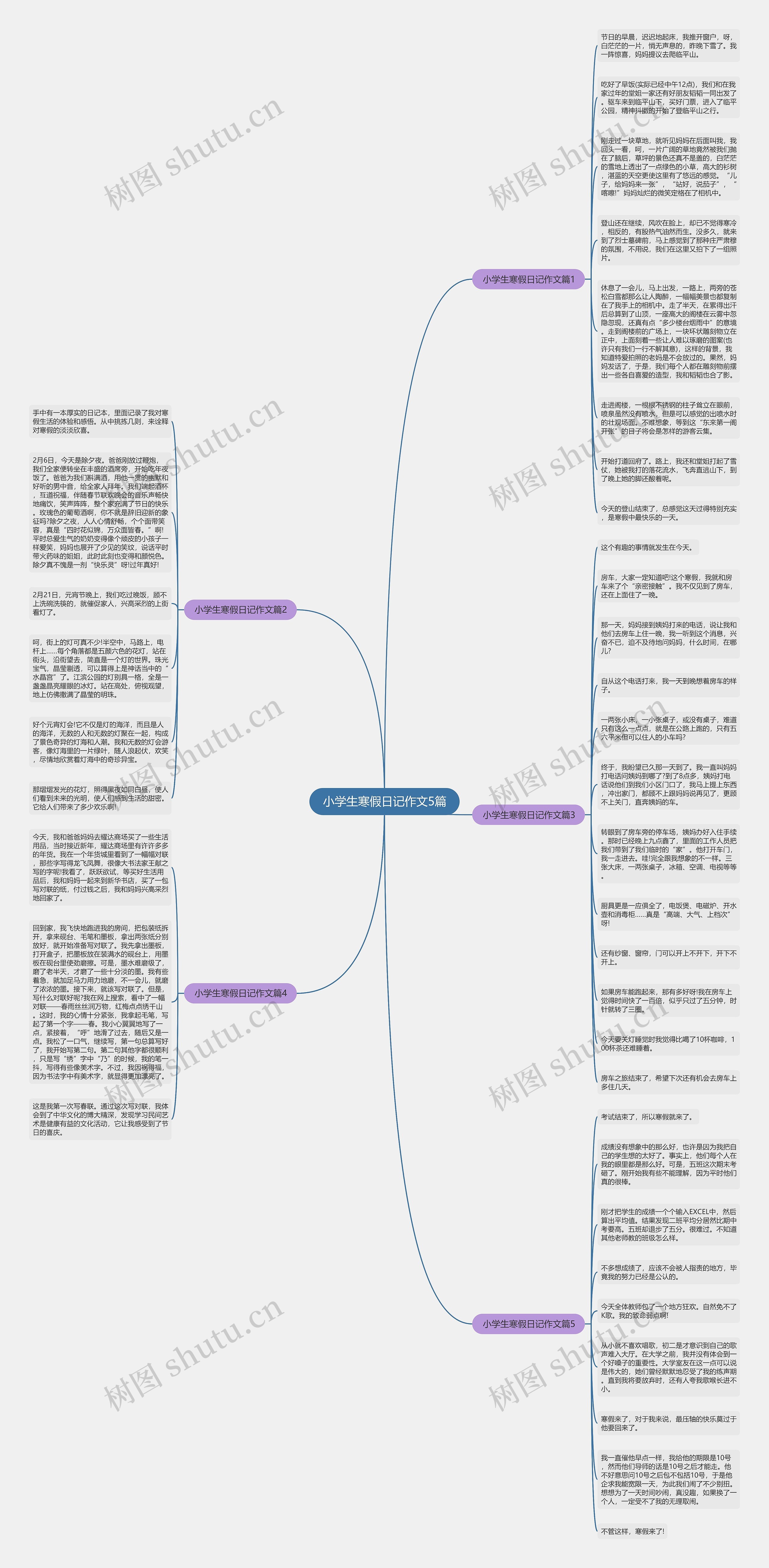 小学生寒假日记作文5篇思维导图