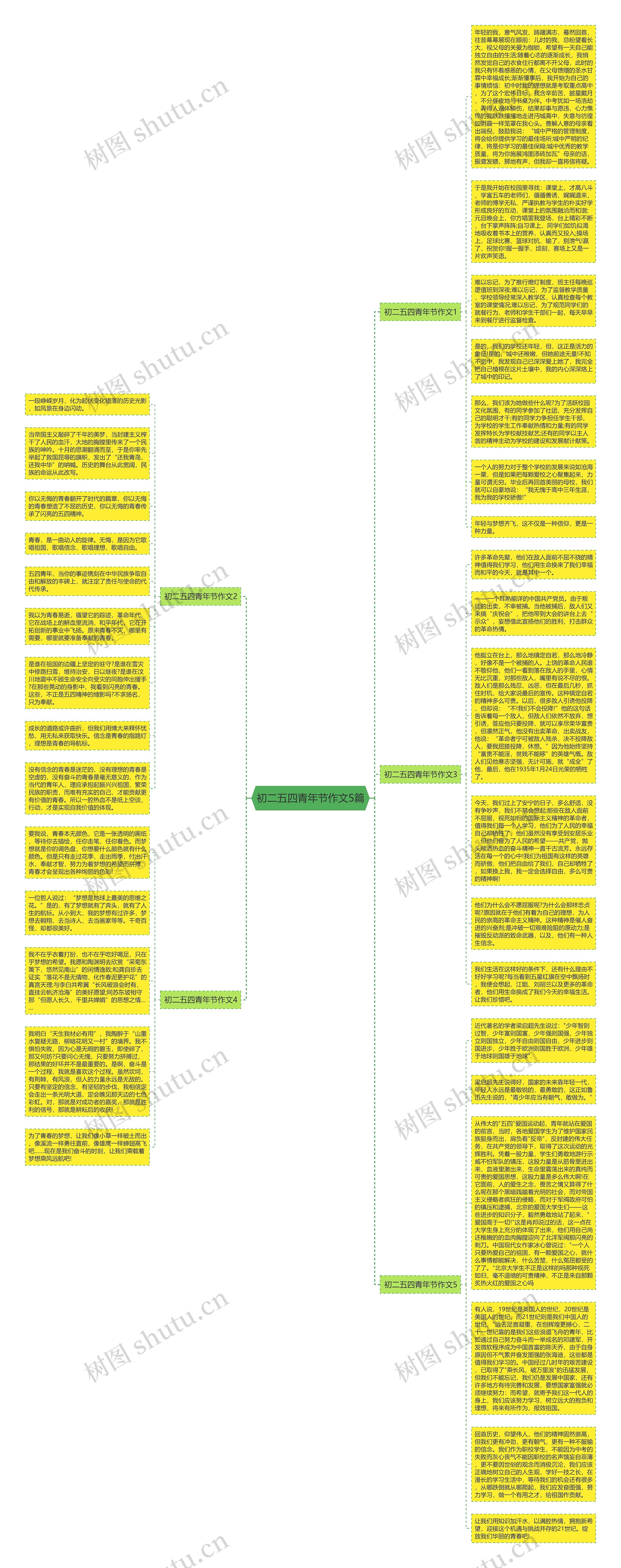 初二五四青年节作文5篇思维导图