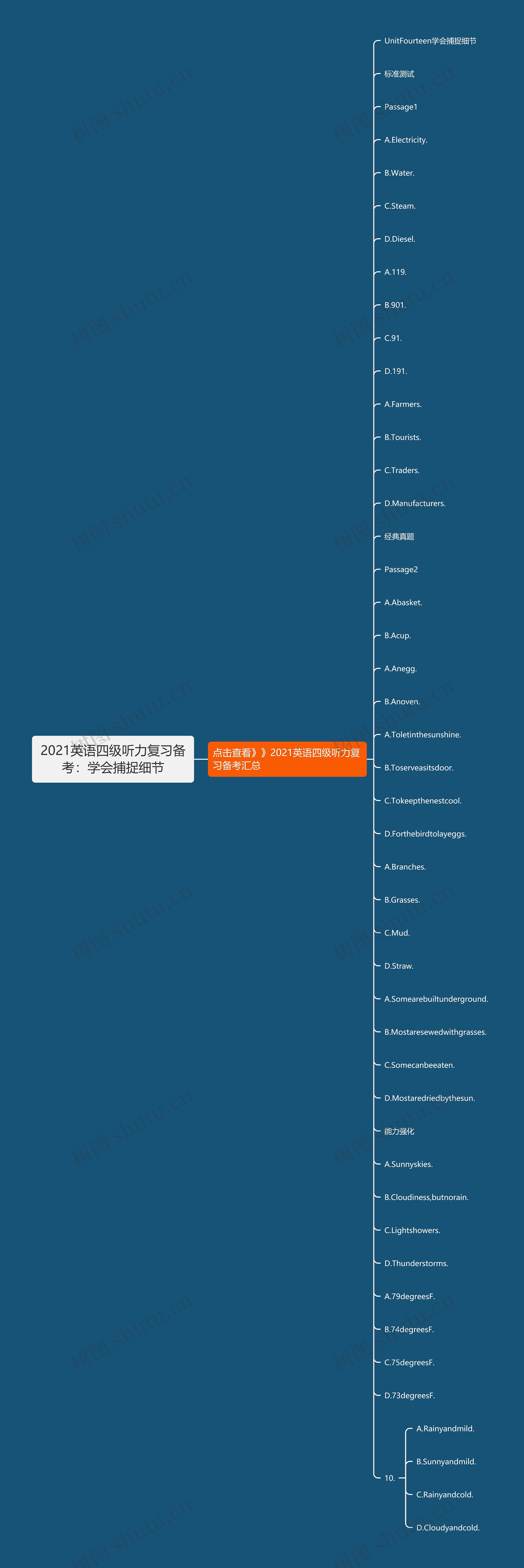 2021英语四级听力复习备考：学会捕捉细节思维导图