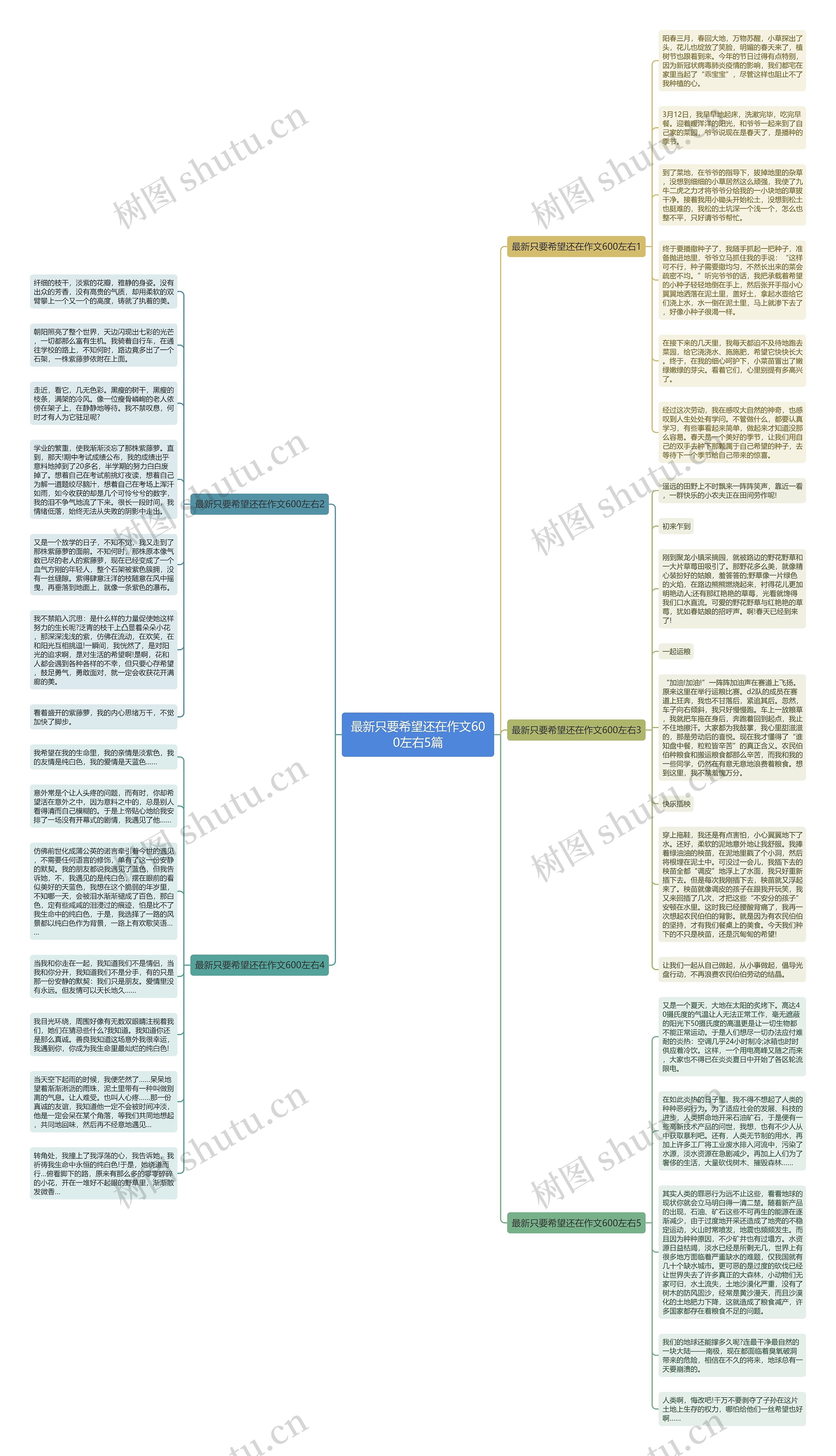 最新只要希望还在作文600左右5篇思维导图