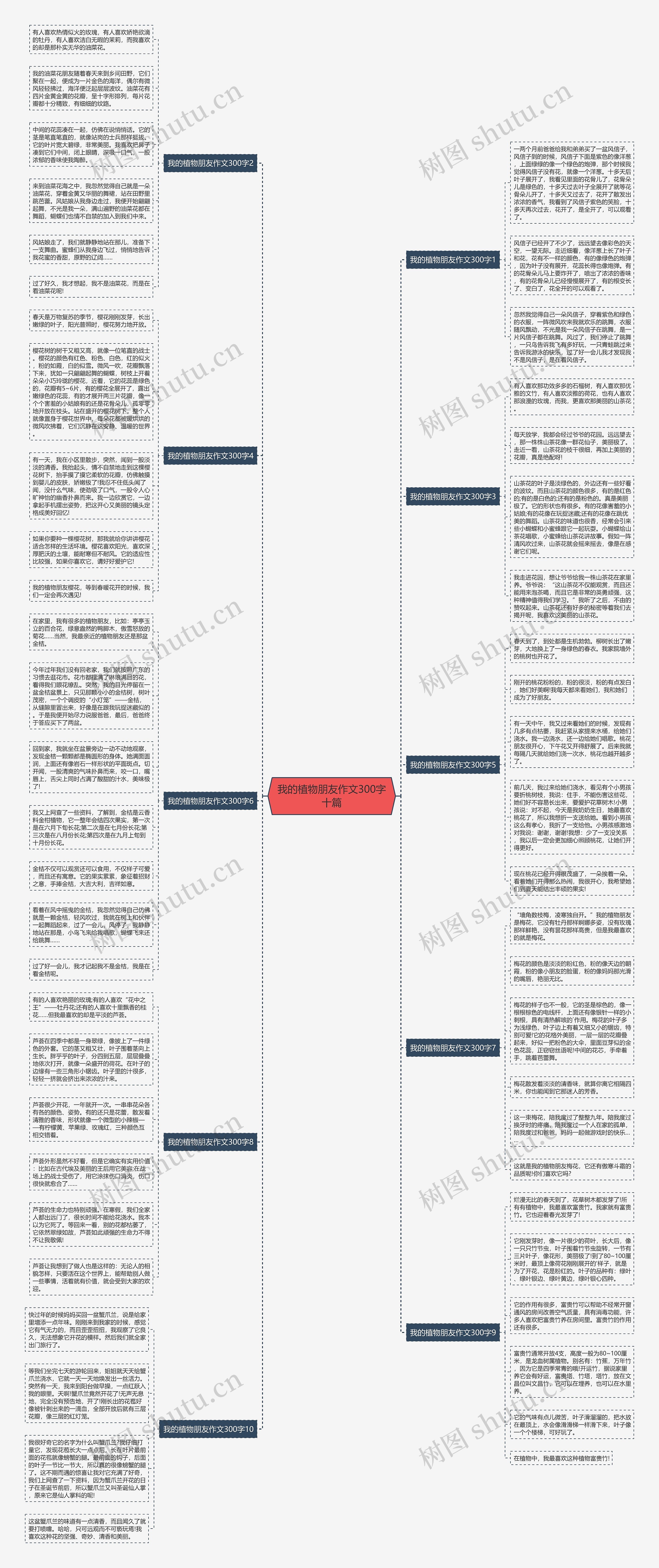 我的植物朋友作文300字十篇思维导图