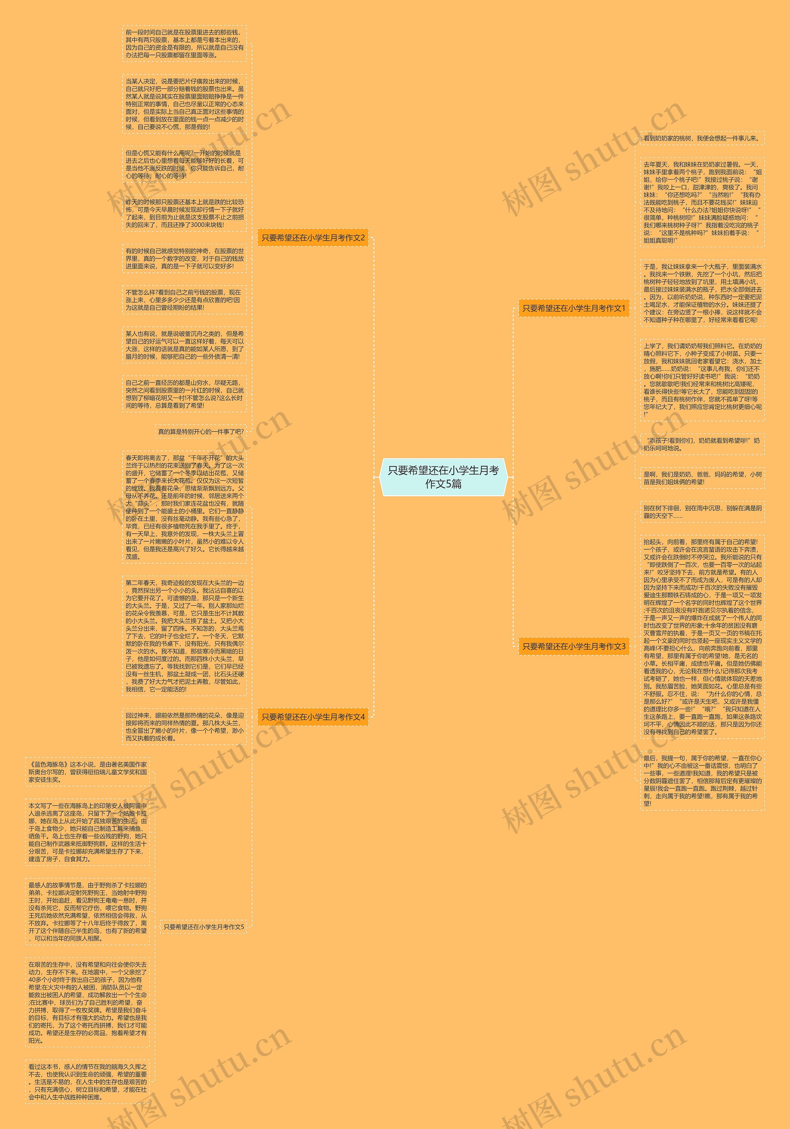 只要希望还在小学生月考作文5篇思维导图