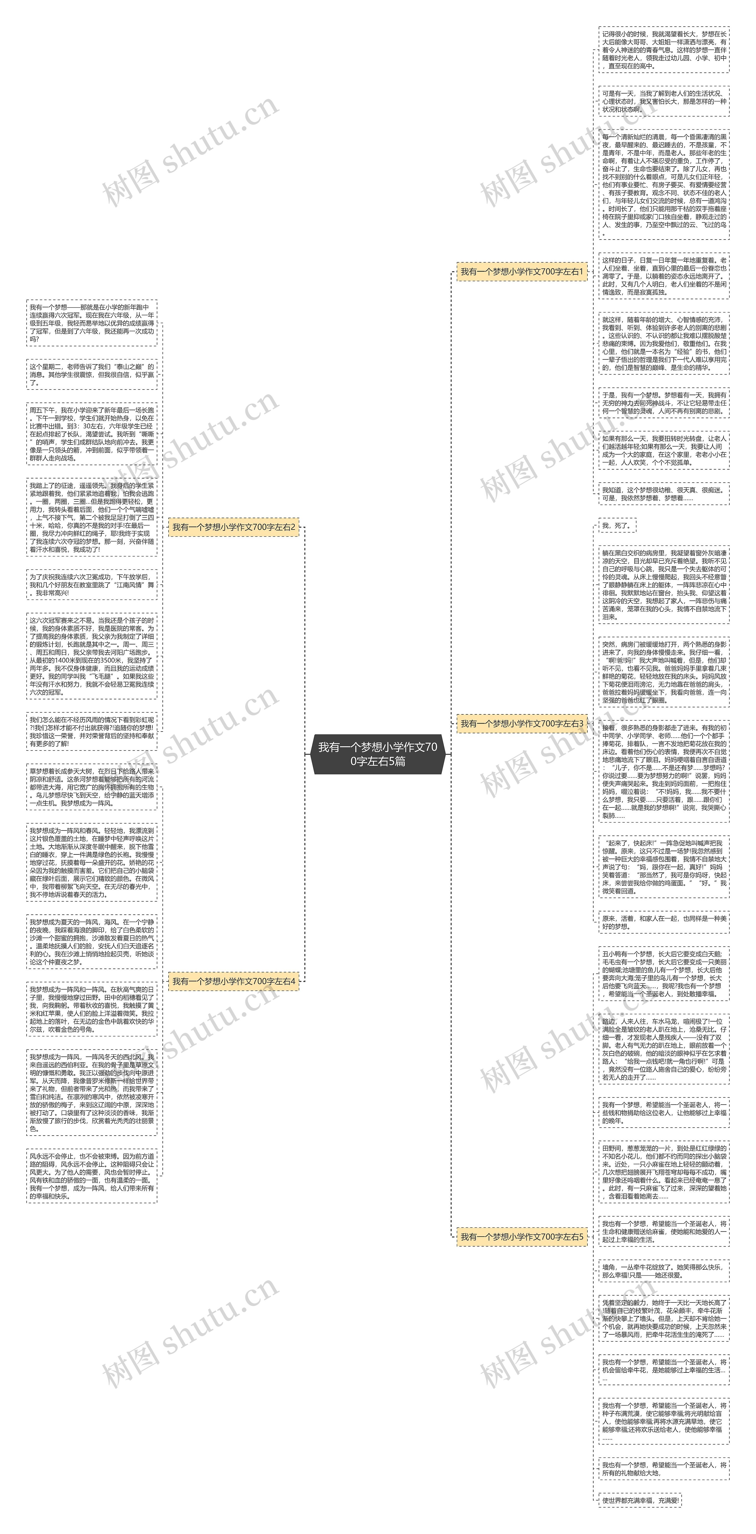 我有一个梦想小学作文700字左右5篇思维导图