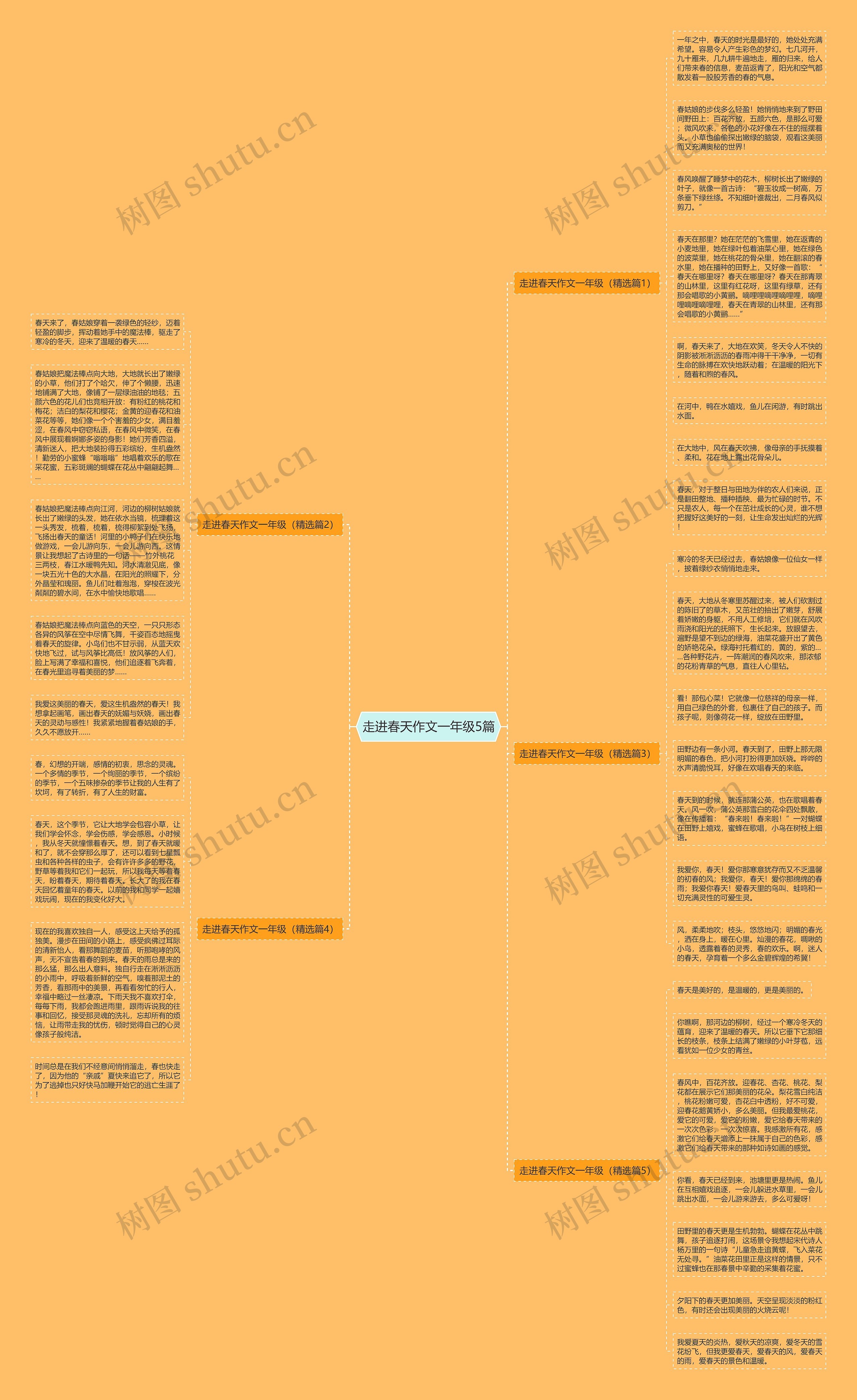 走进春天作文一年级5篇思维导图